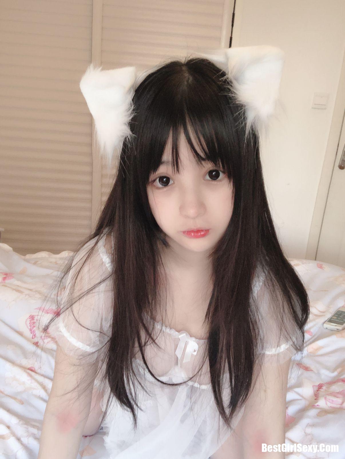 Sakurai Ningning] Mèo trắng nhỏ