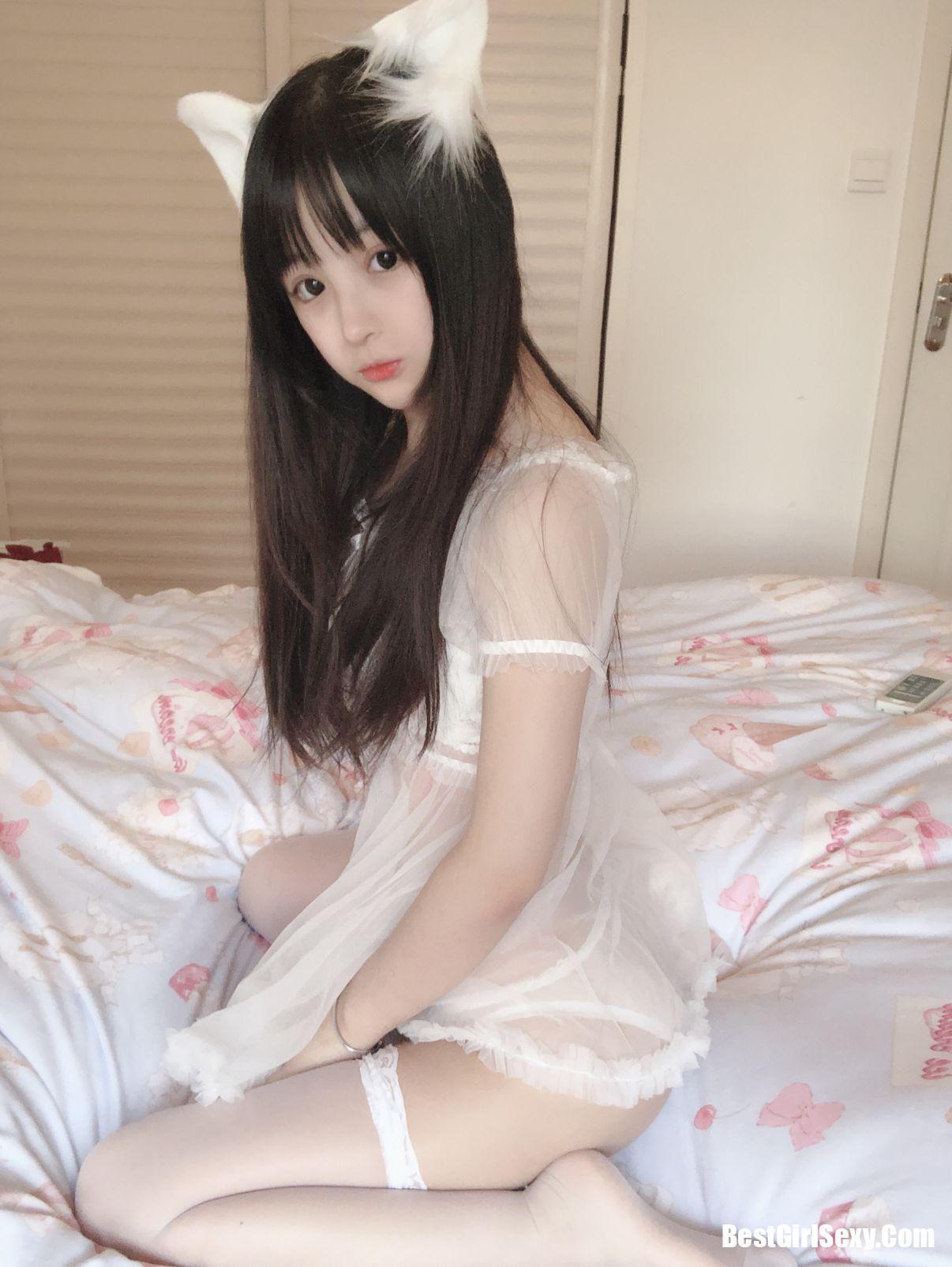 Sakurai Ningning] Mèo trắng nhỏ