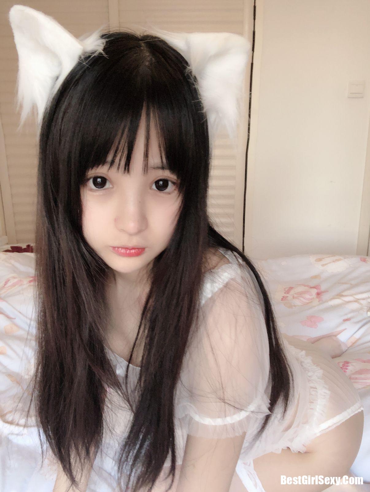 Sakurai Ningning] Mèo trắng nhỏ