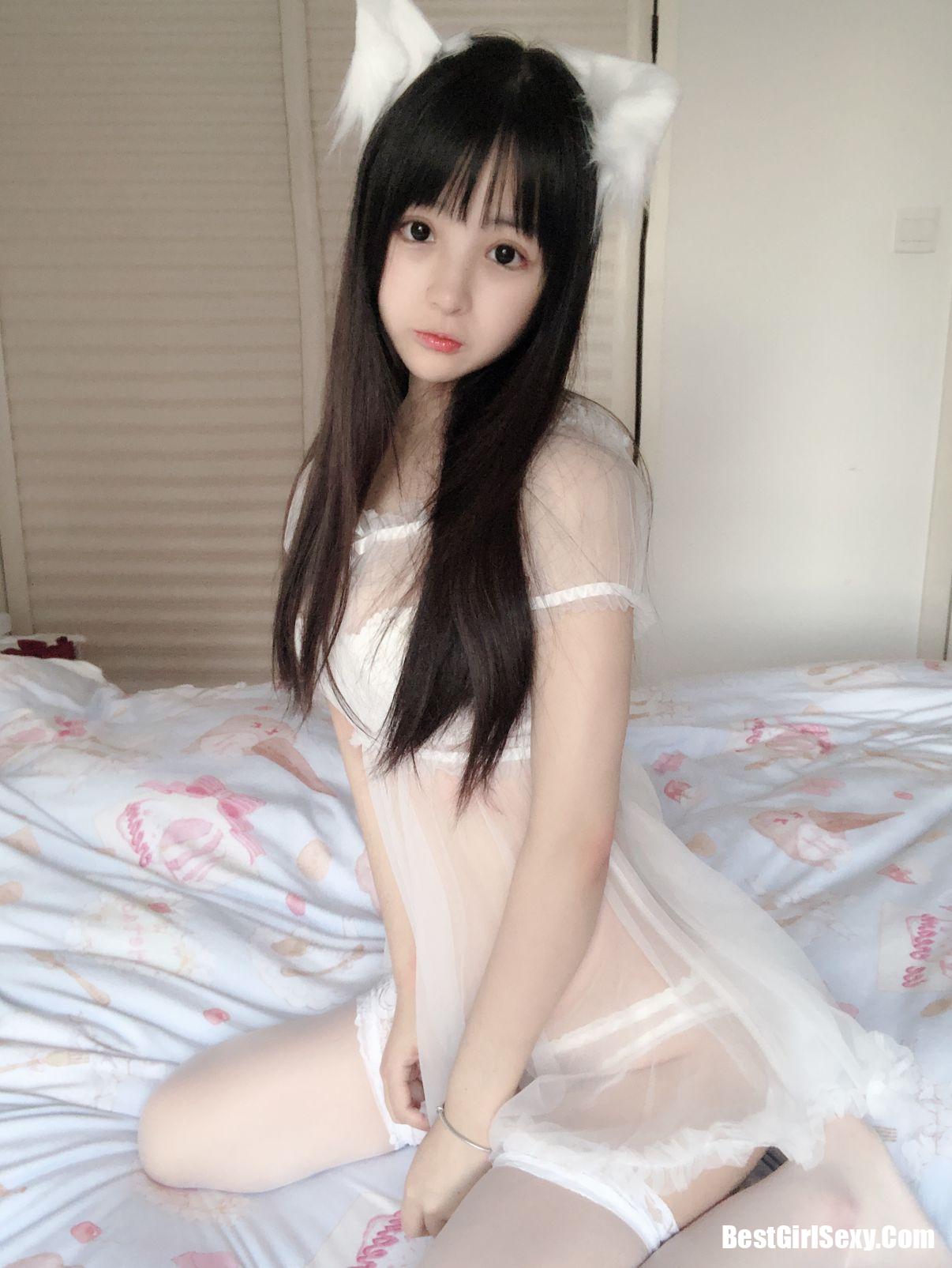 Sakurai Ningning] Mèo trắng nhỏ