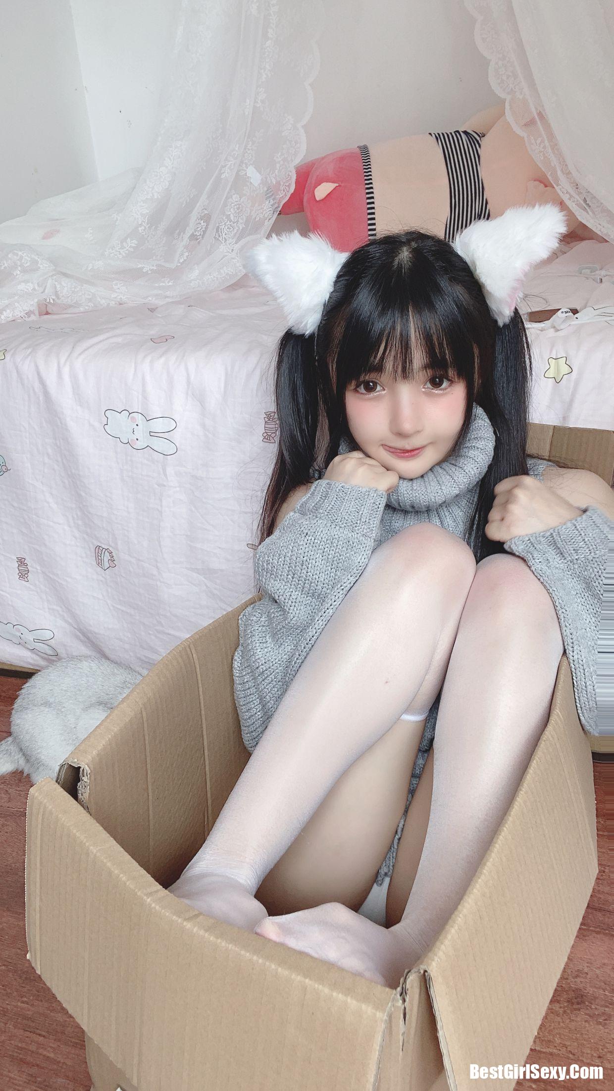 ซากุไร นิงนิง] แมวขาวตัวน้อย