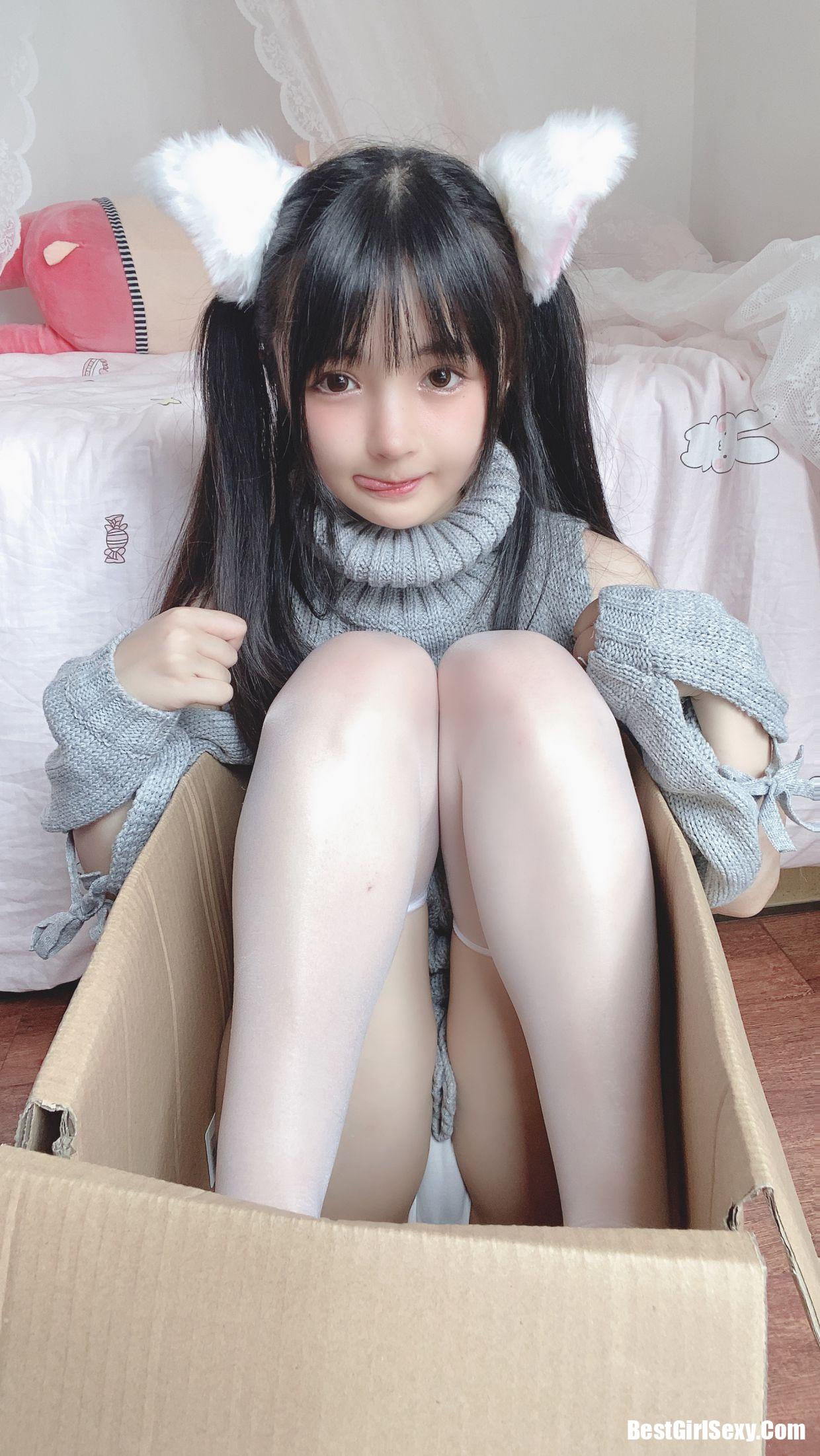 ซากุไร นิงนิง] แมวขาวตัวน้อย