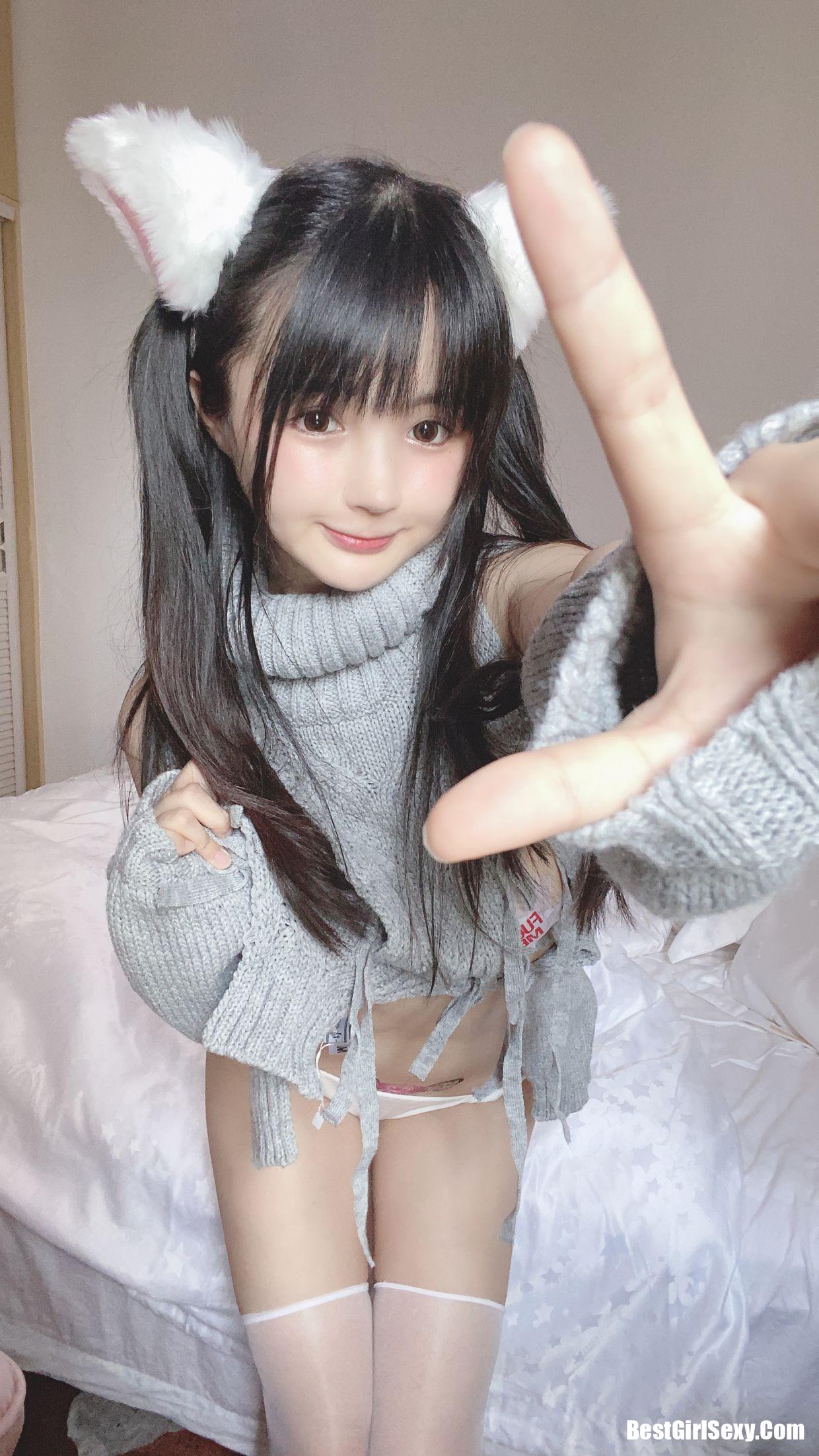ซากุไร นิงนิง] แมวขาวตัวน้อย