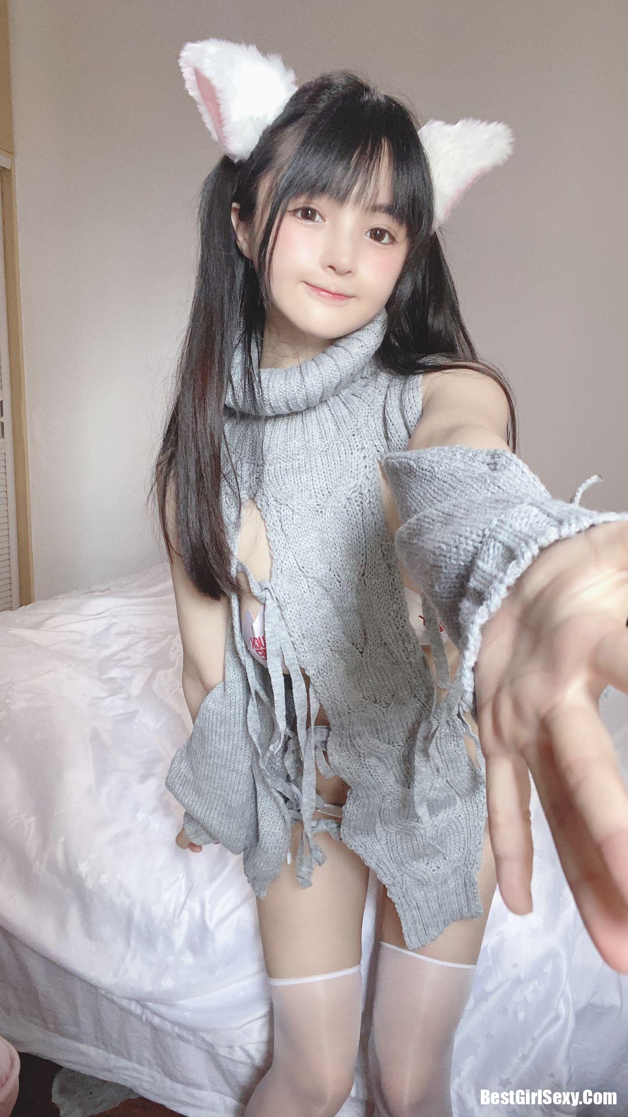 ซากุไร นิงนิง] แมวขาวตัวน้อย