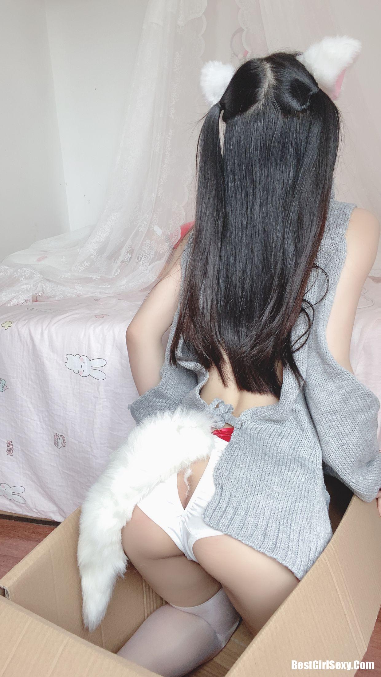 ซากุไร นิงนิง] แมวขาวตัวน้อย