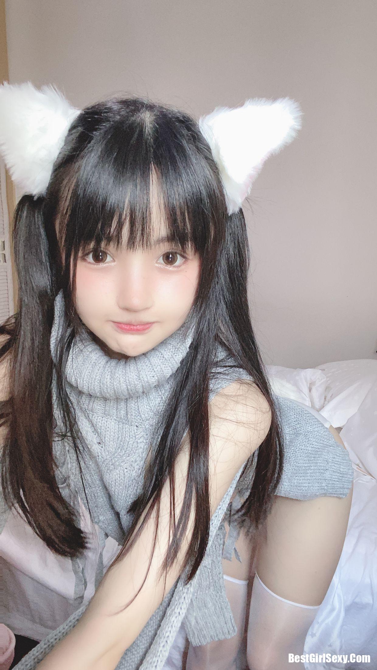 ซากุไร นิงนิง] แมวขาวตัวน้อย