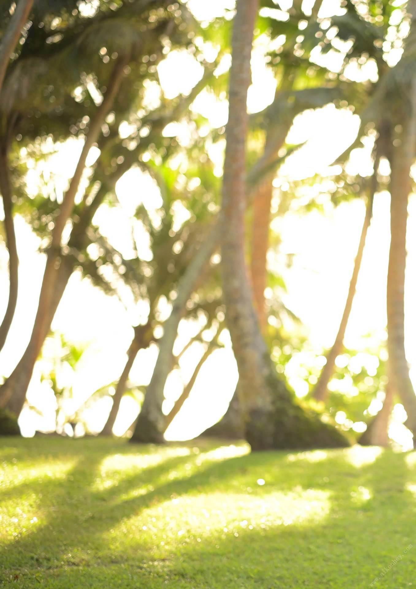 Tenshi Moe Digital Photobook "Aspiration" Episode: Final 150P
