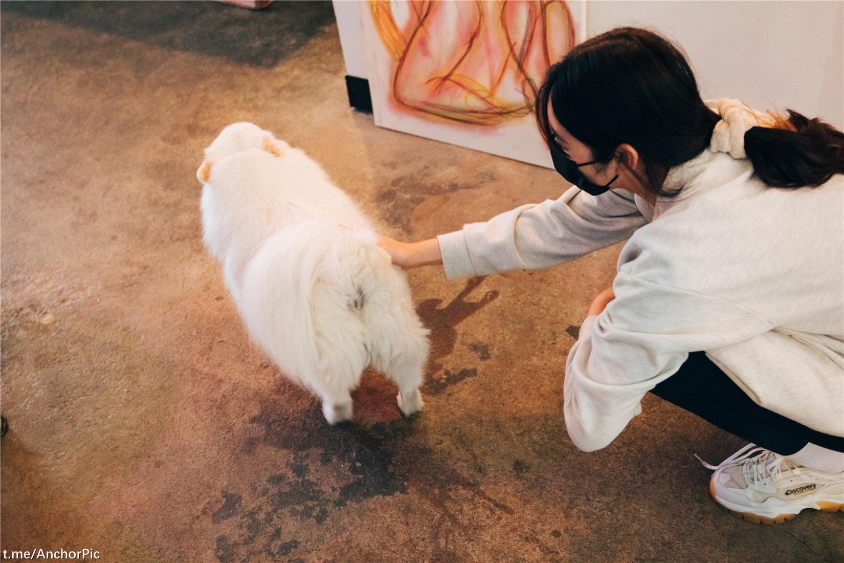 [Loozy] Sonson (손손) - Yano Date 118P