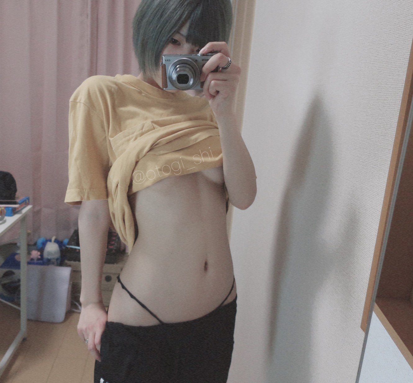 御伽樒