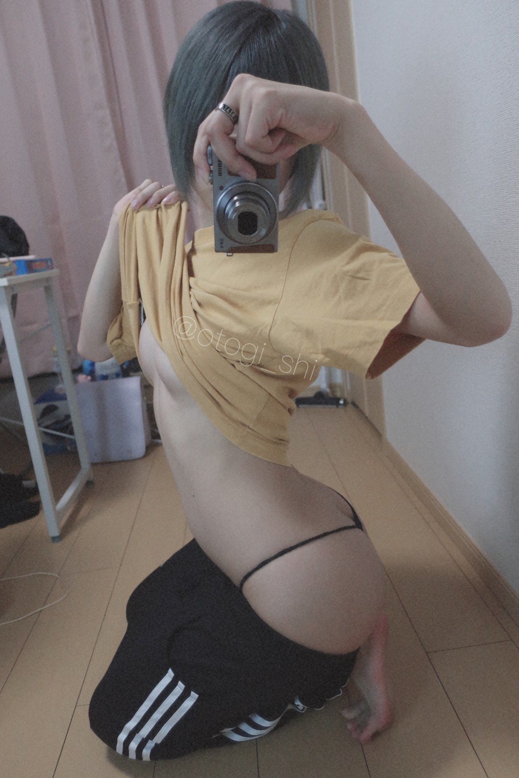 御伽樒