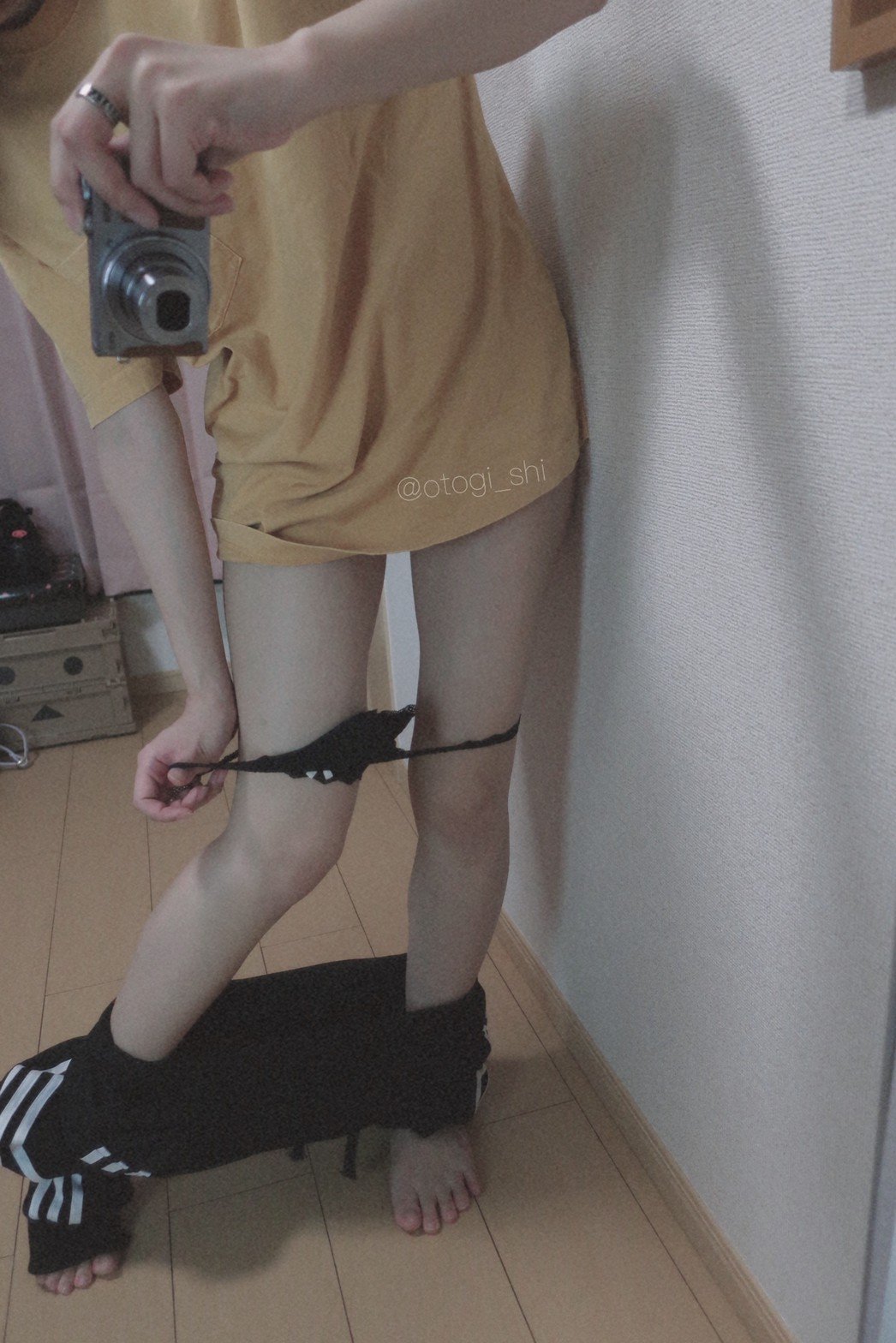 御伽樒