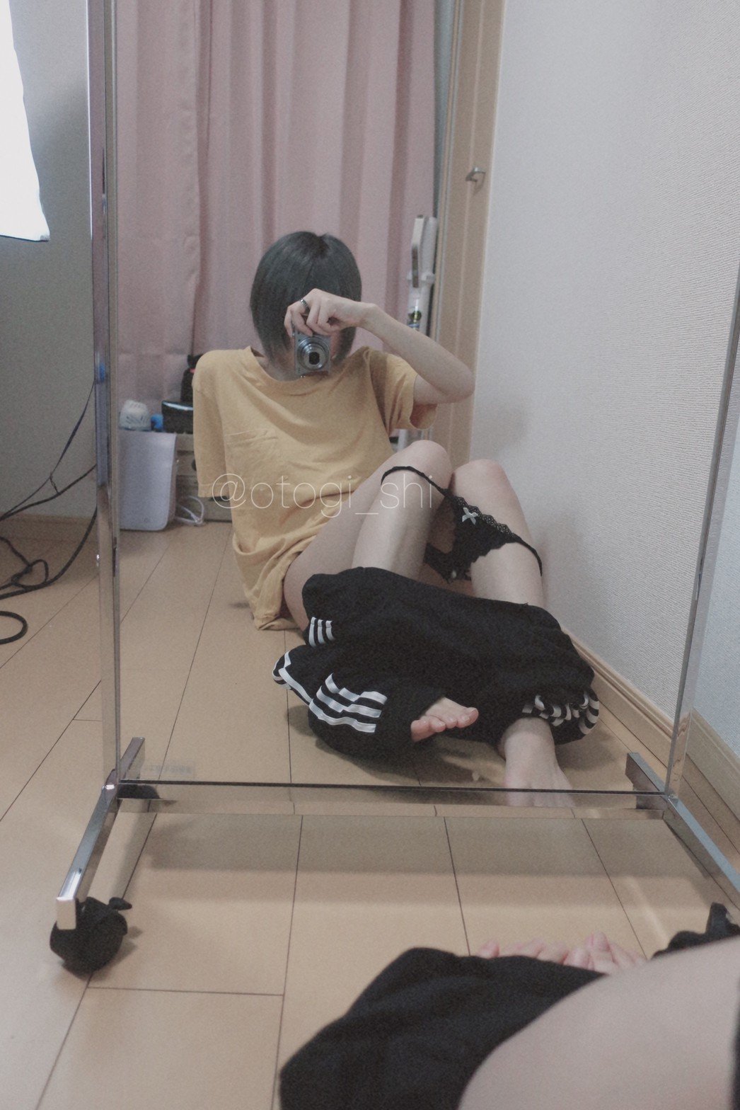 御伽樒