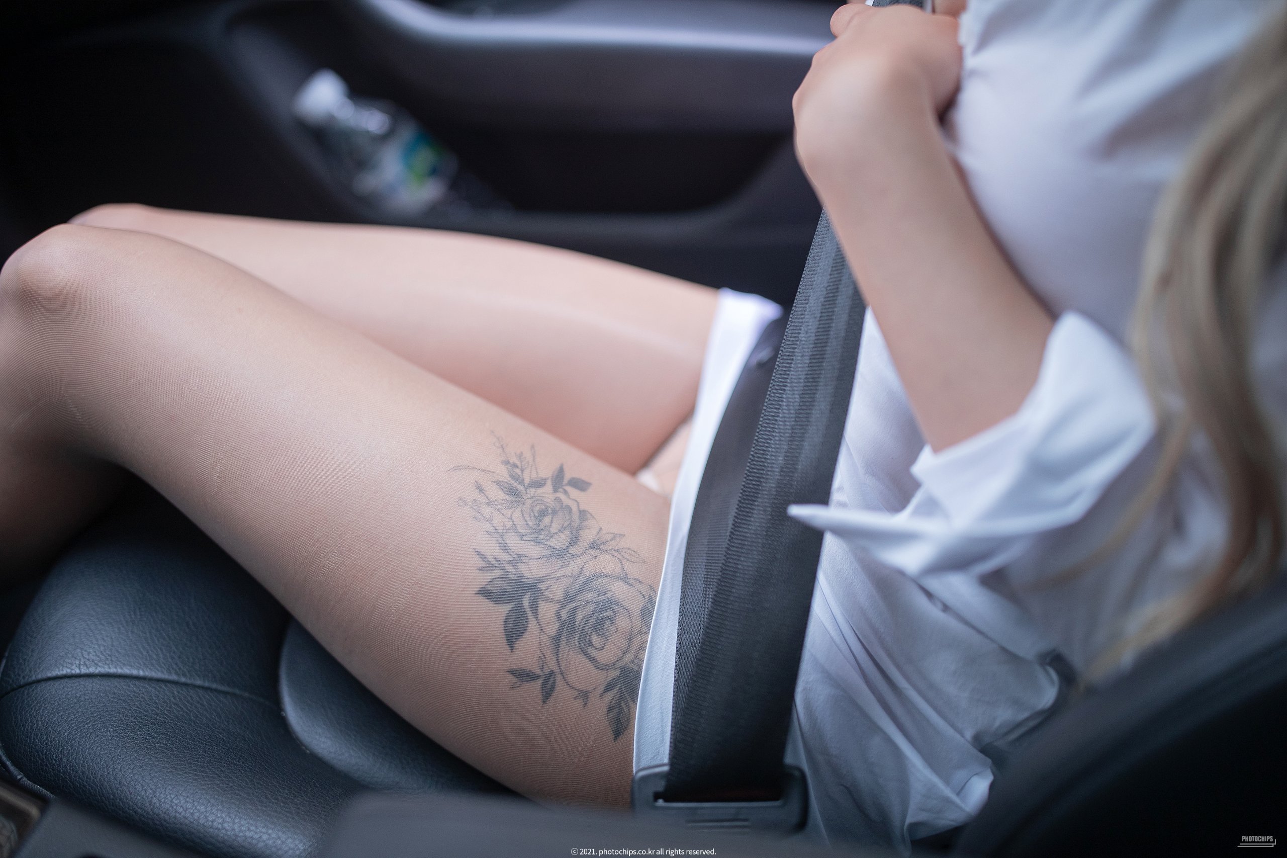PhotoChips 第101卷 阿拉姆