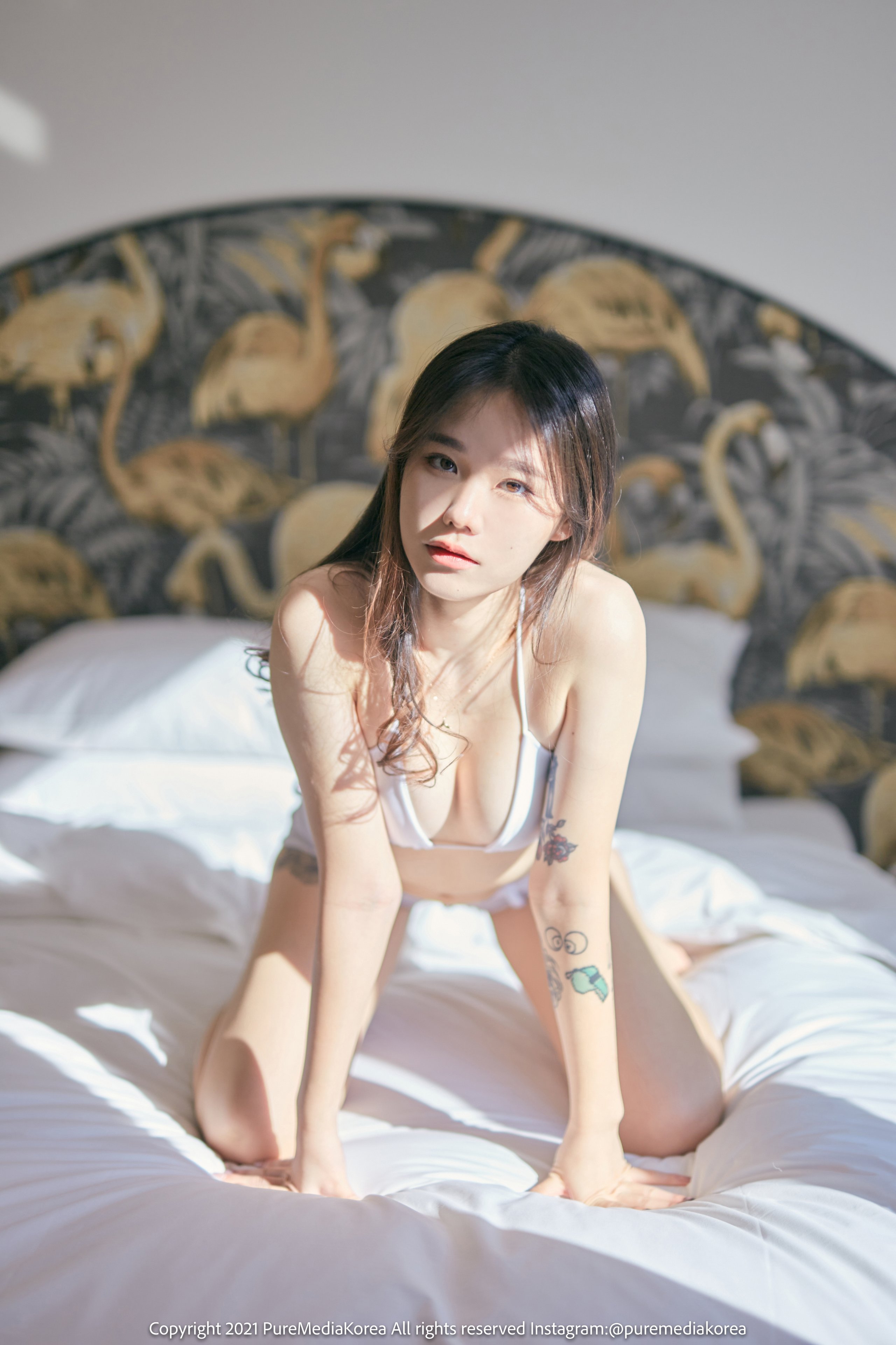 普爾媒體 第140卷 西拉 (시라)