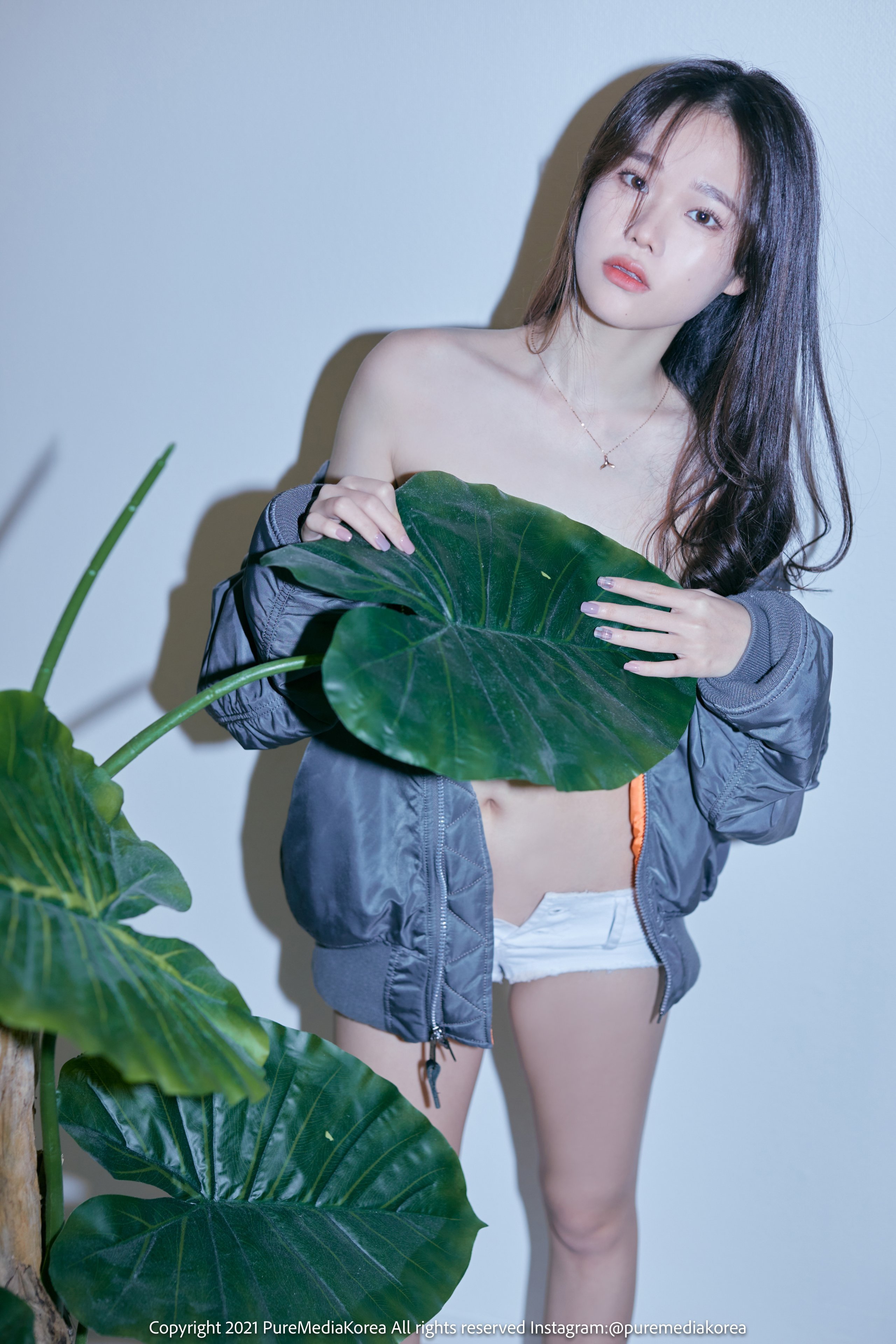 普爾媒體 第140卷 西拉 (시라)