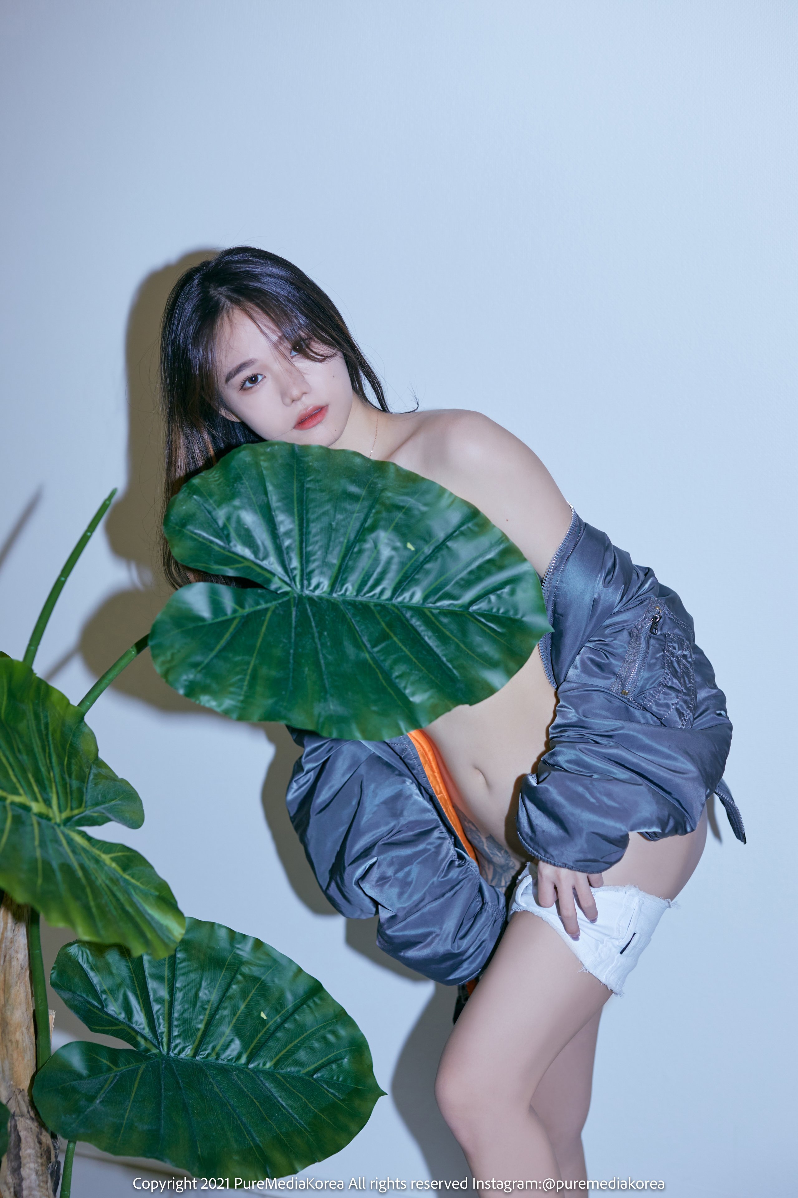 普爾媒體 第140卷 西拉 (시라)