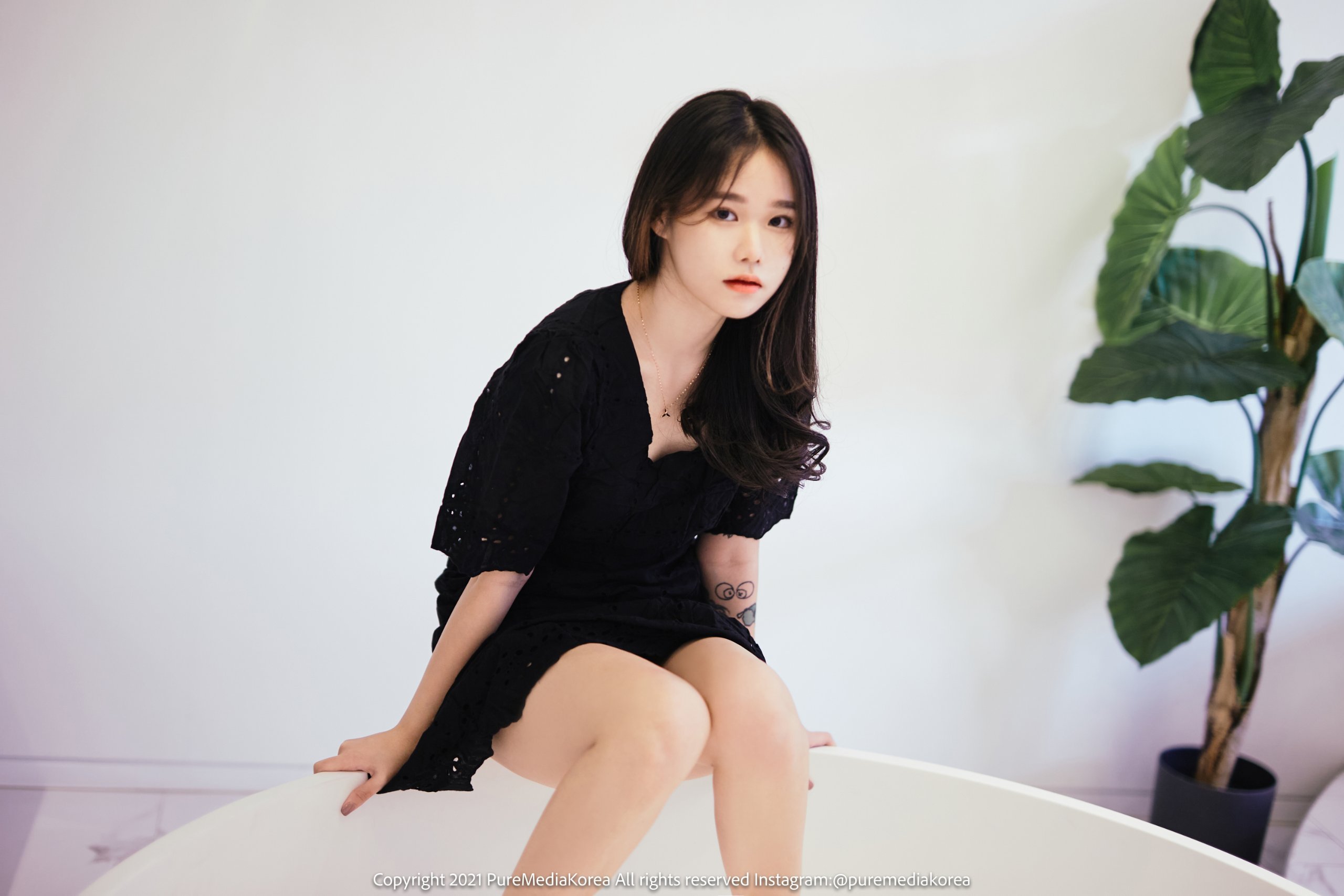 普爾媒體 第140卷 西拉 (시라)