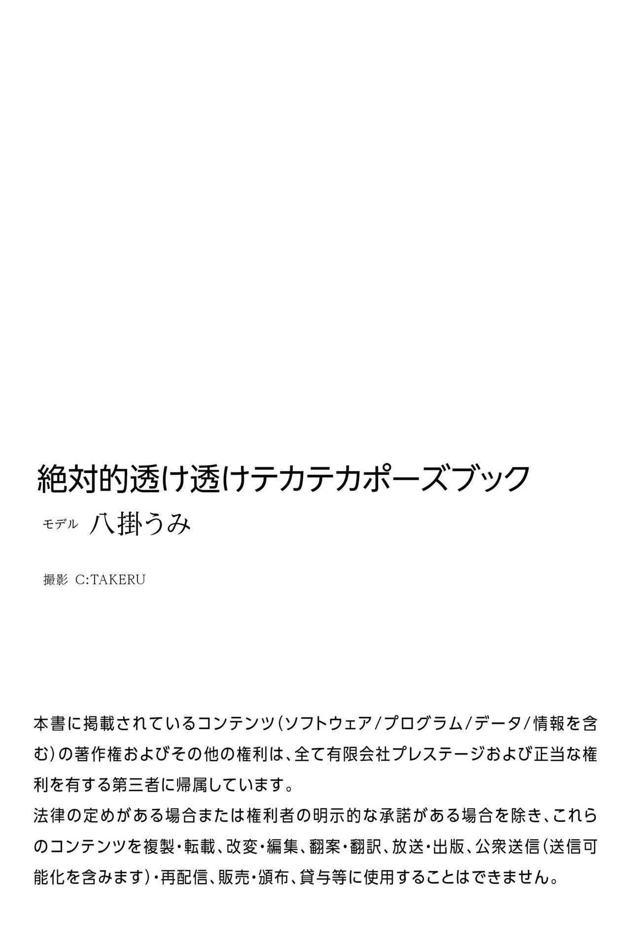Absolute See-Through Shiny Pose Book Yatsugake Umi