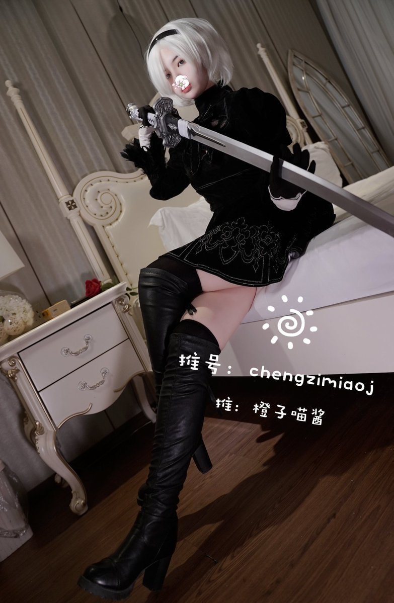 Orange Meow Jiang - A2 và 2B Nier [24P