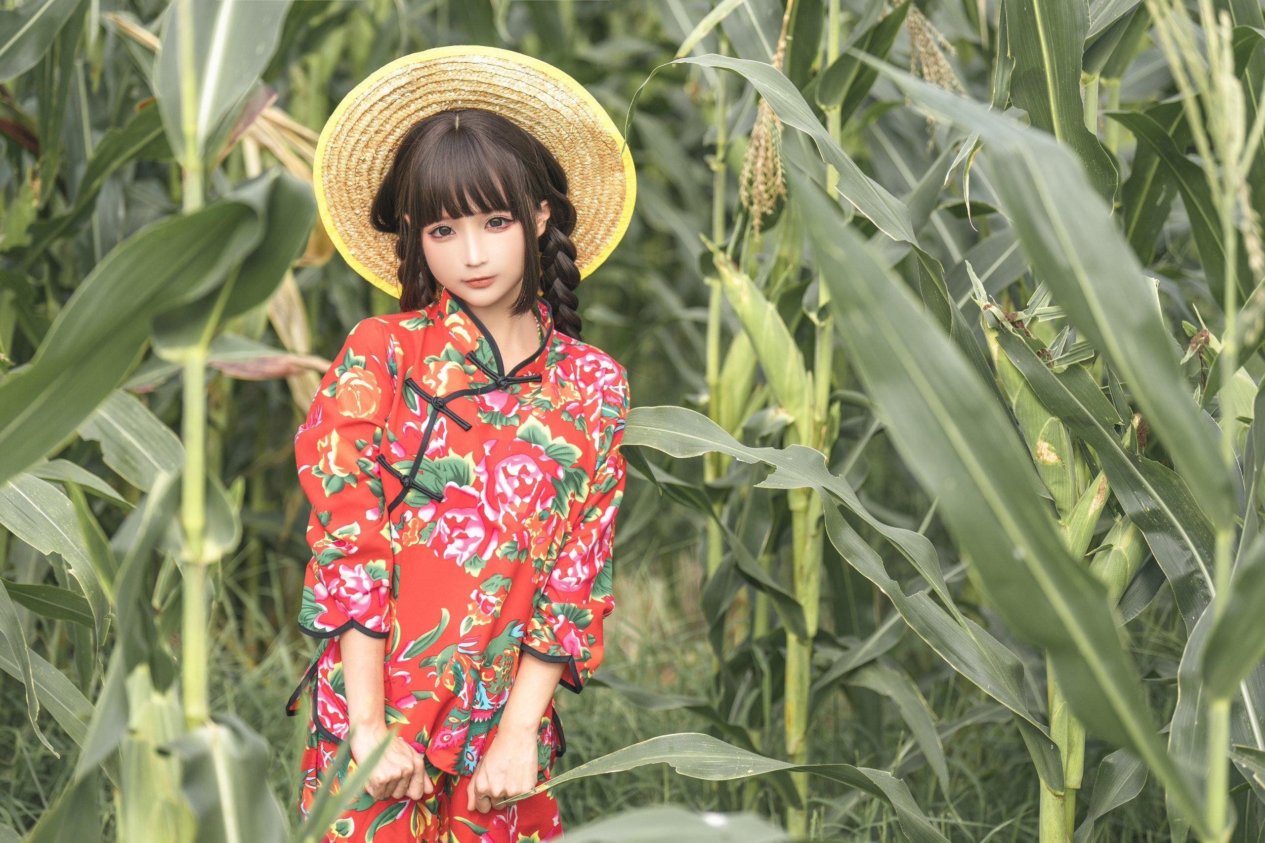 Chun Mò Mò - Câu chuyện về cánh đồng bắp