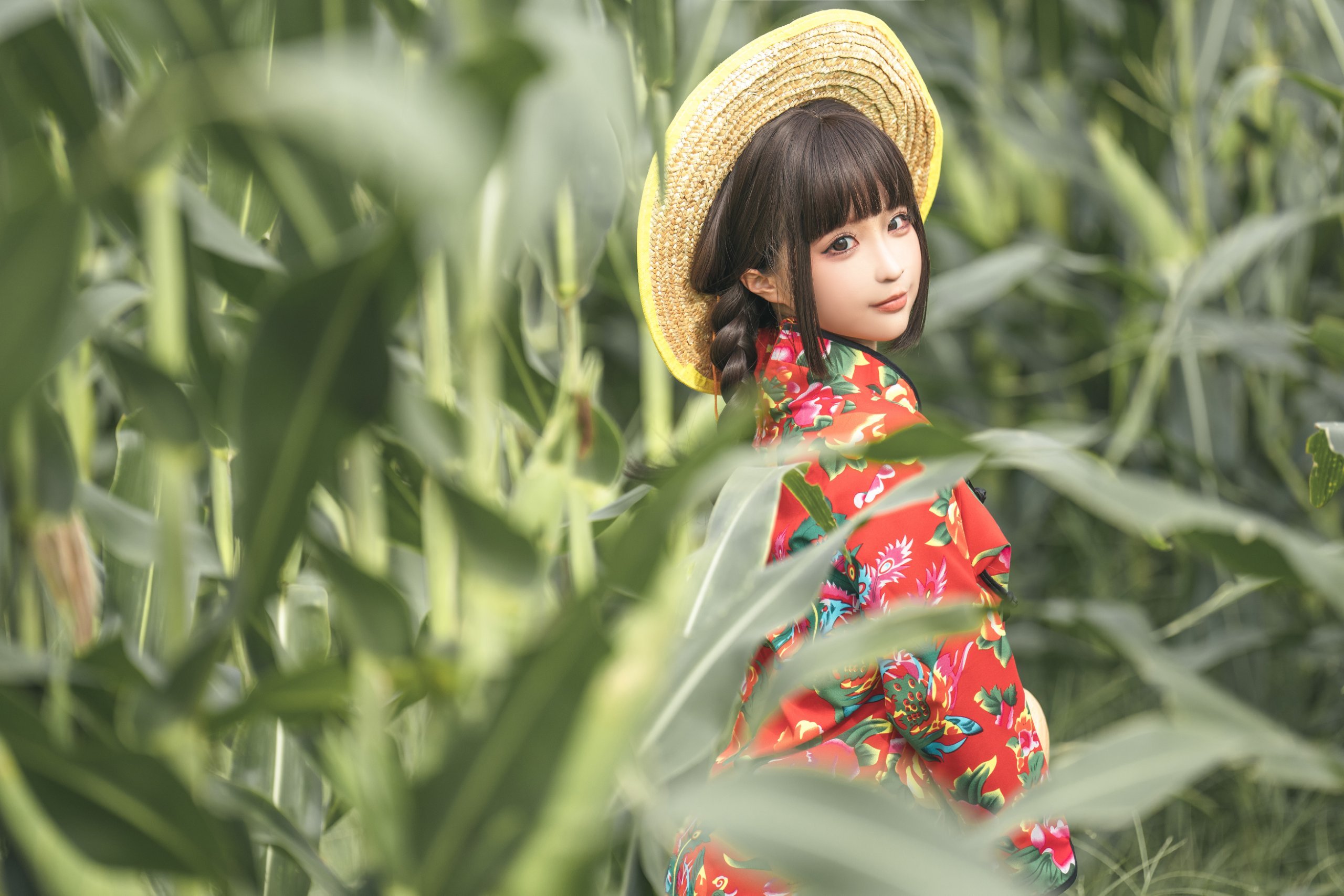 Chun Mò Mò - Câu chuyện về cánh đồng bắp