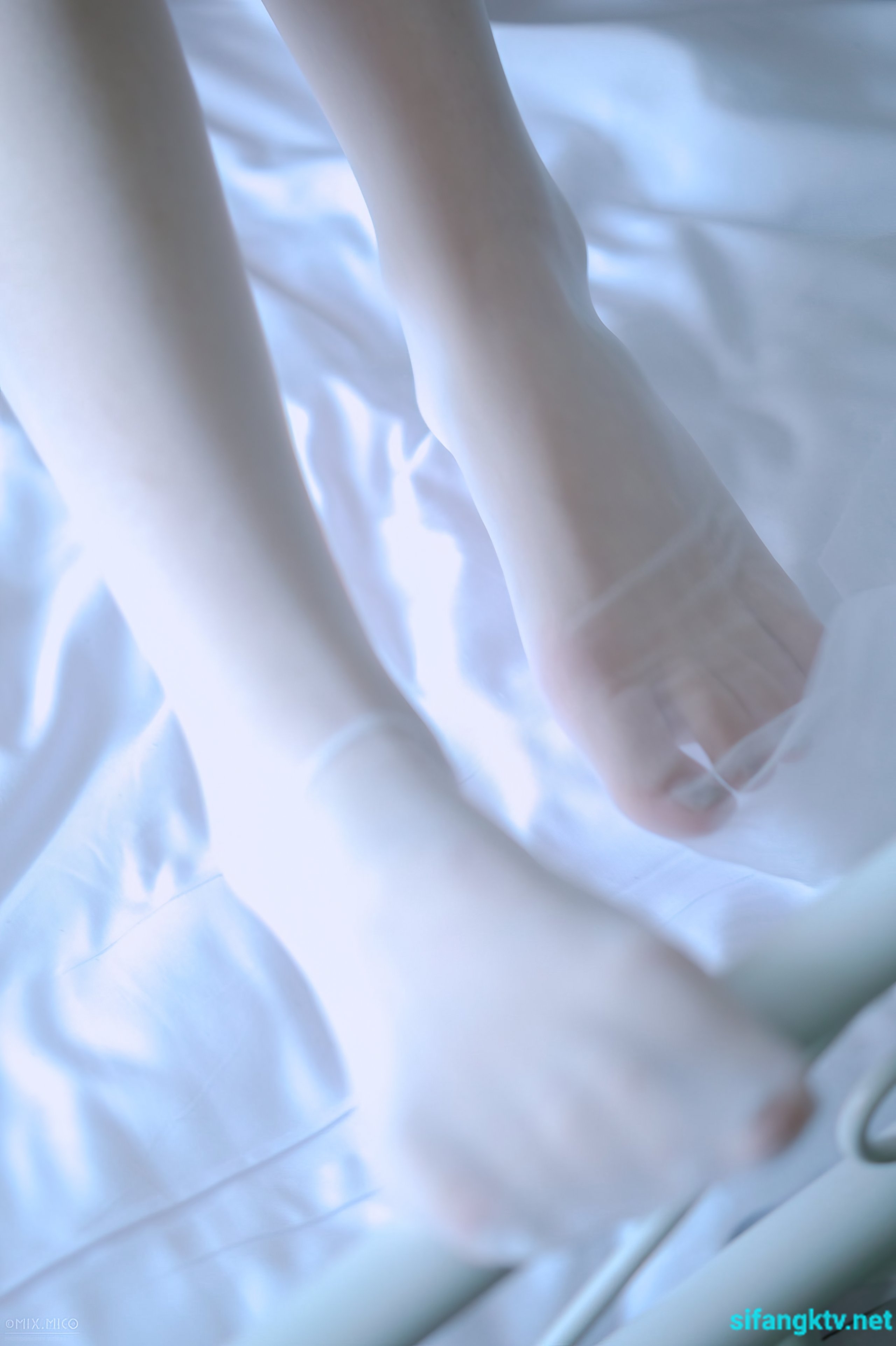 사진작가 믹스와 여러 모델의 대규모 무모자이크 작품