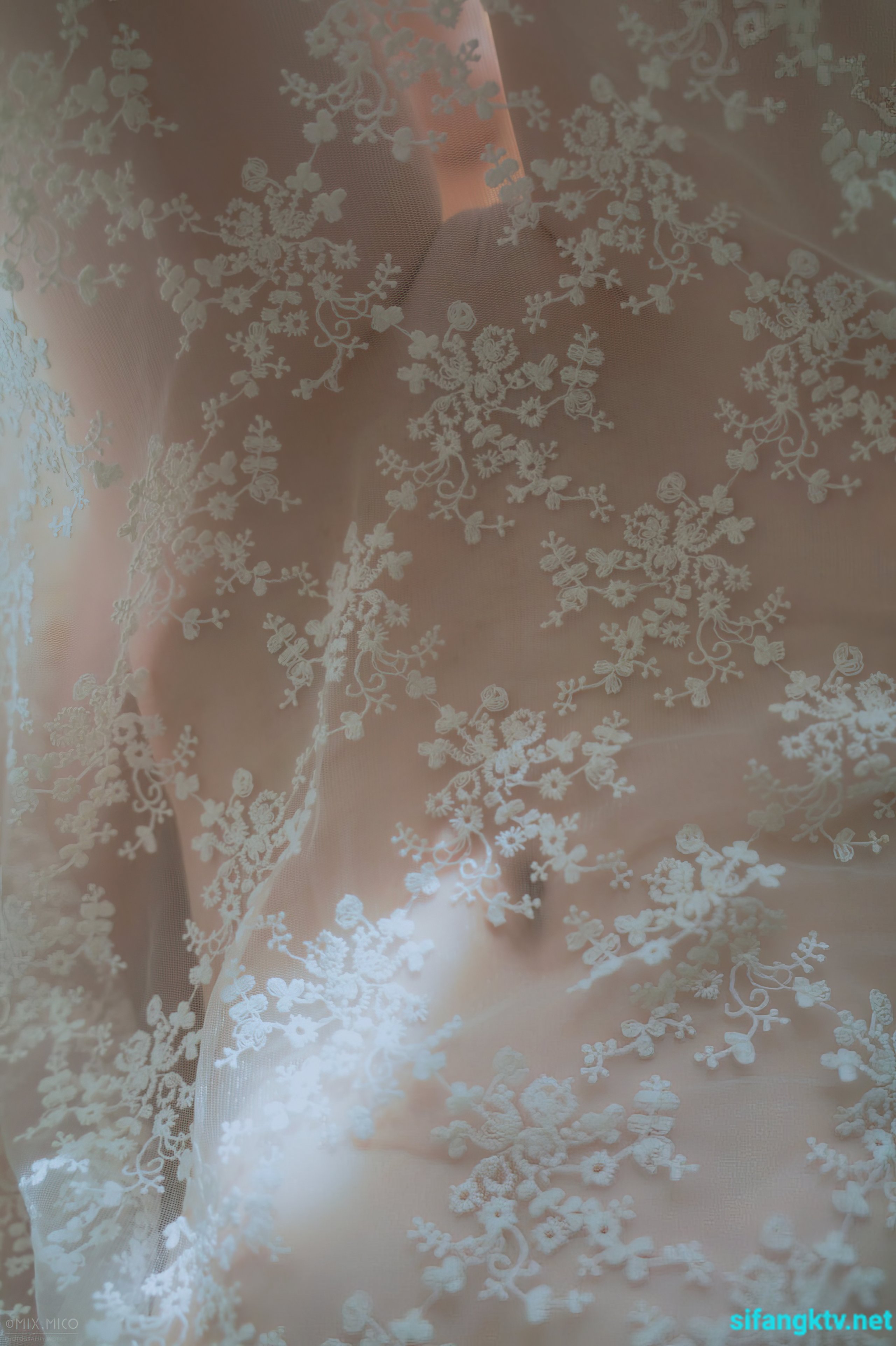 ミックス写真家の複数のモデルによる大規模無修正作品