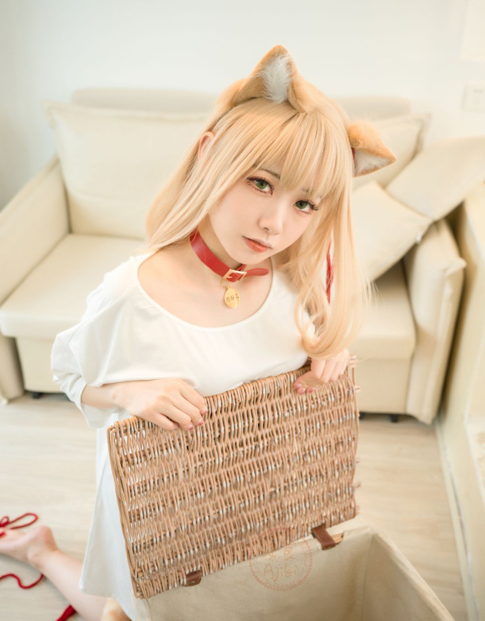 Anshoku AJIKI "Soybean Powder