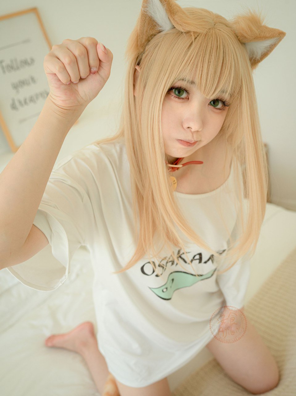 Anshoku AJIKI "Soybean Powder