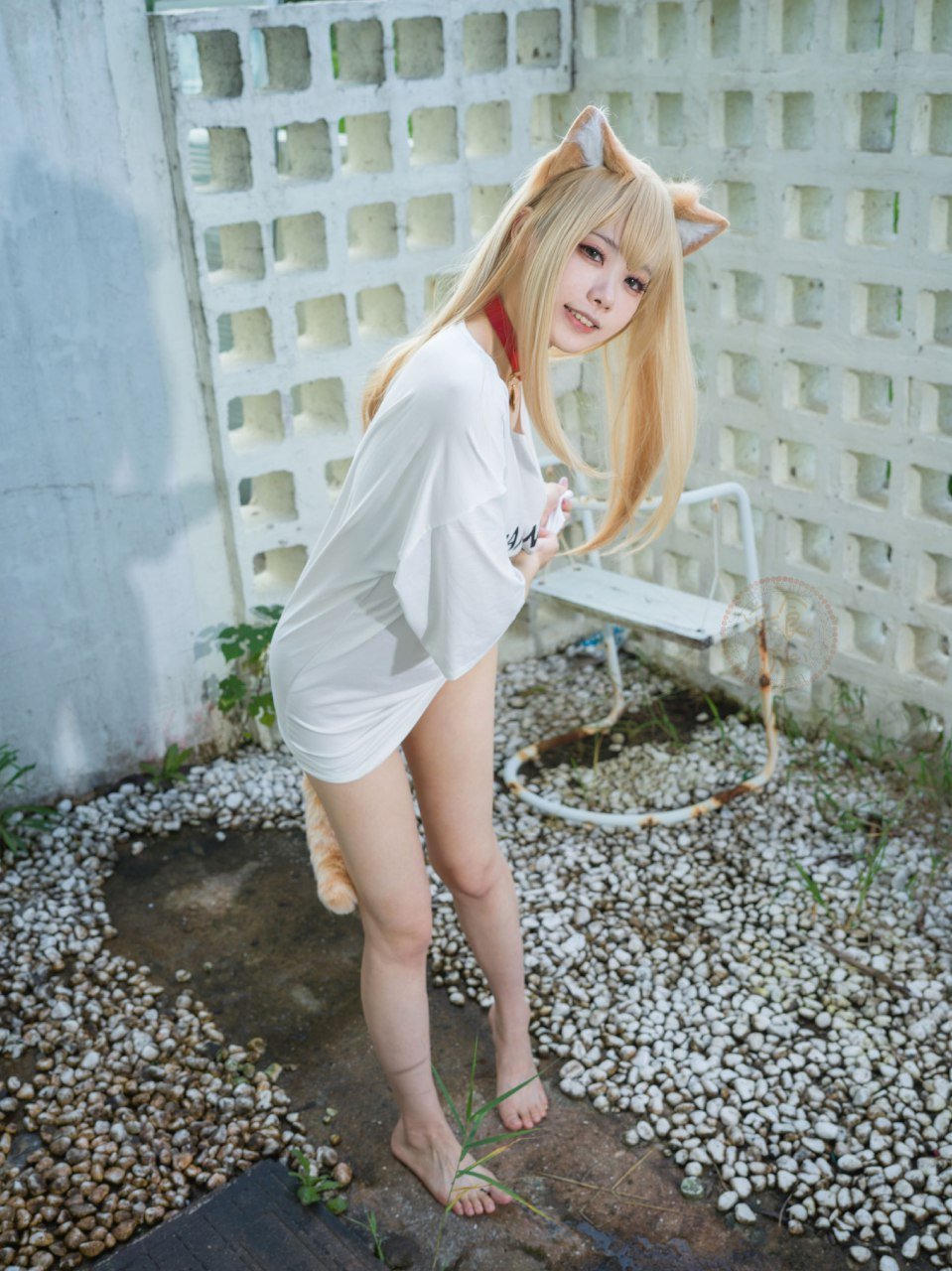 Anshoku AJIKI "Soybean Powder
