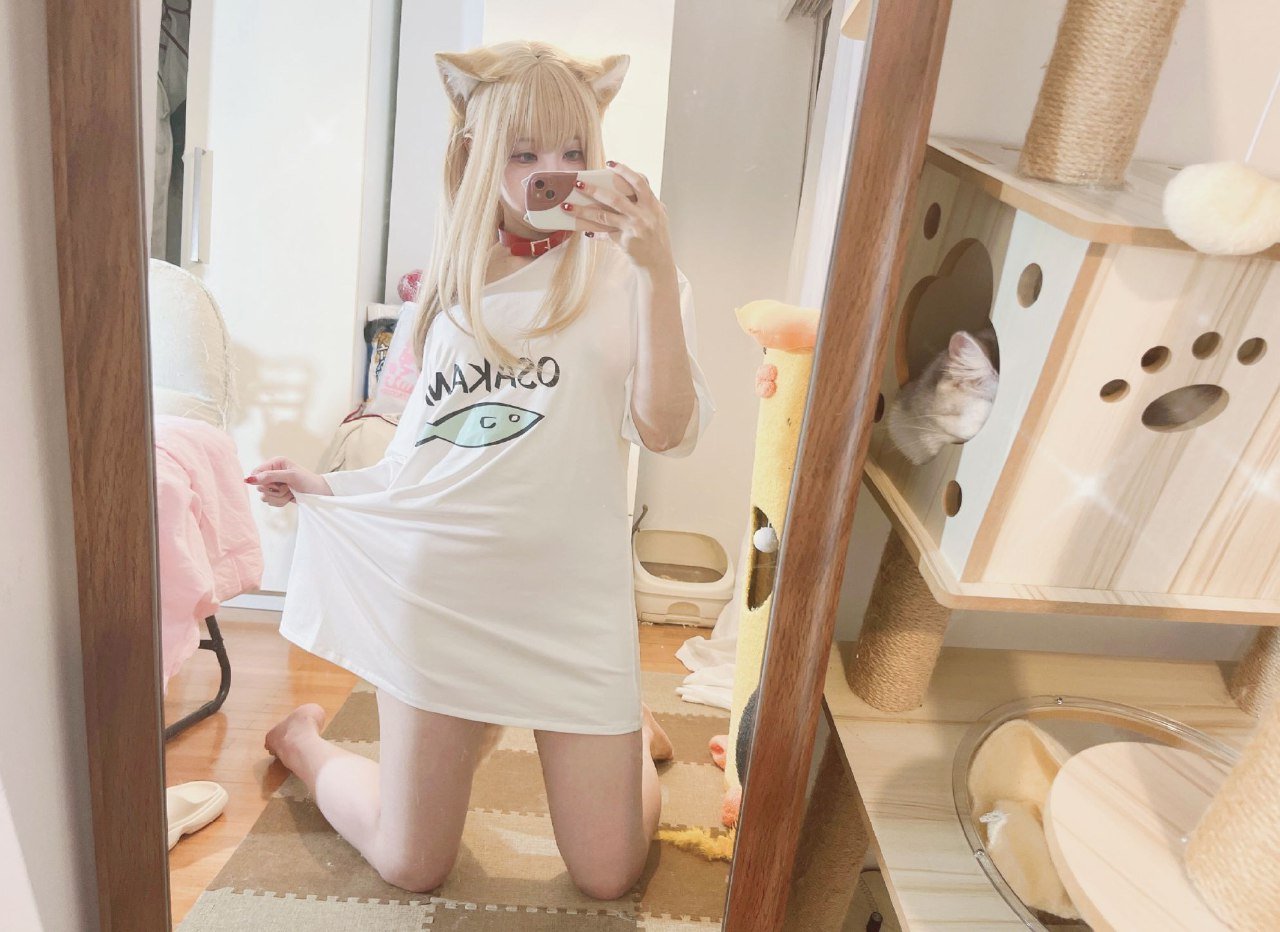 Anshoku AJIKI "Soybean Powder