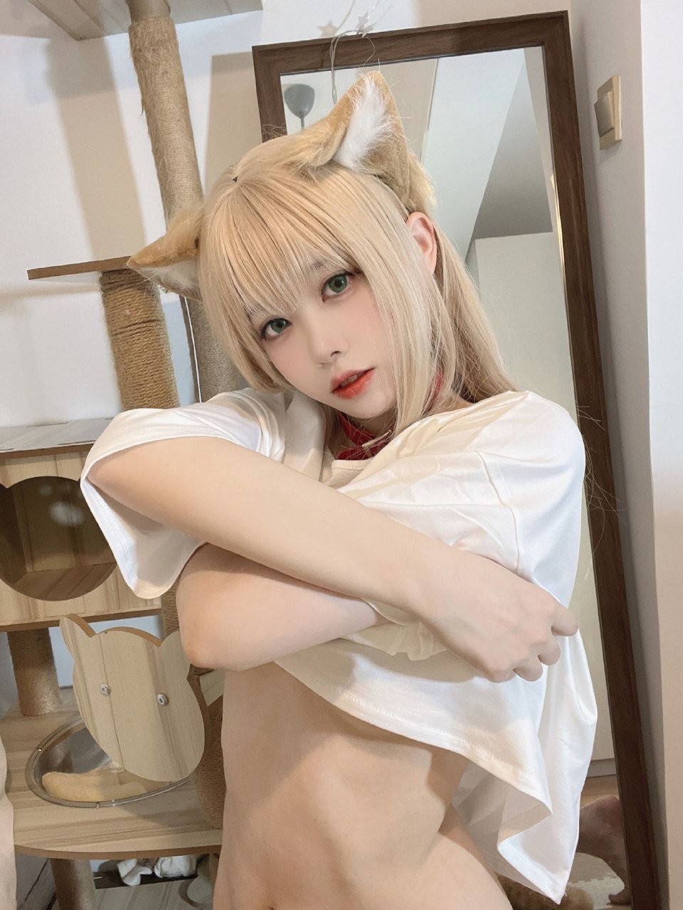Anshoku AJIKI "Soybean Powder