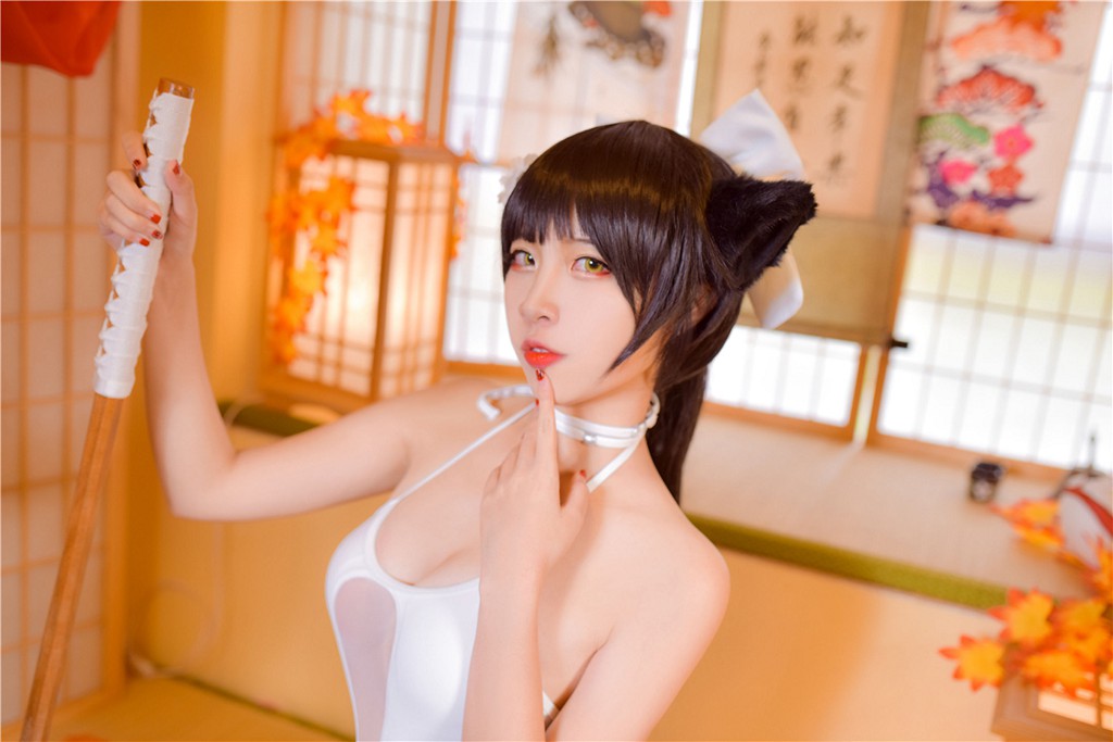 เขตแดนแห่งลม] NO.161 COSสาวน่ารัก หนังสือภาพ[47P