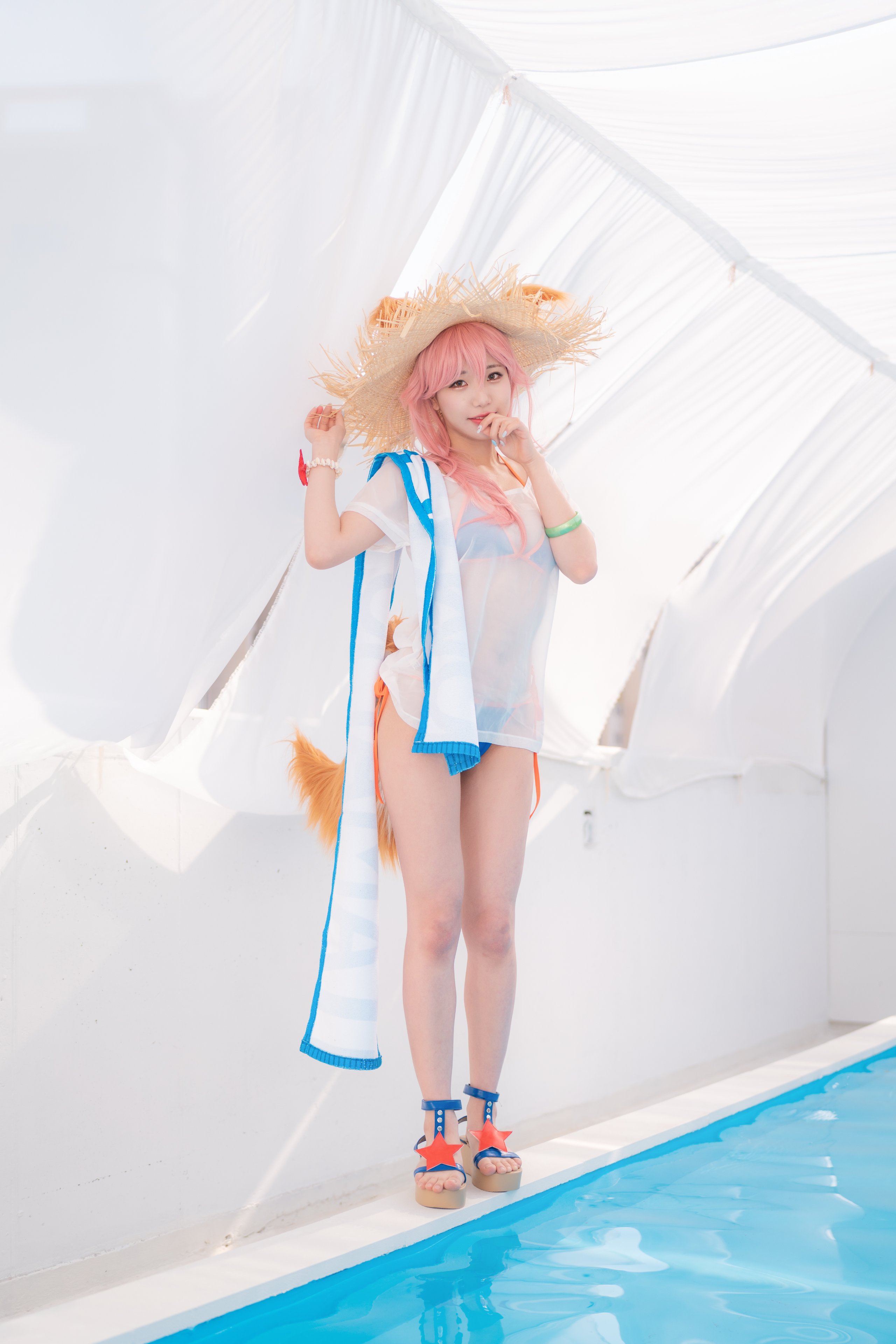 スーフラワー タマモ 夏 (P)