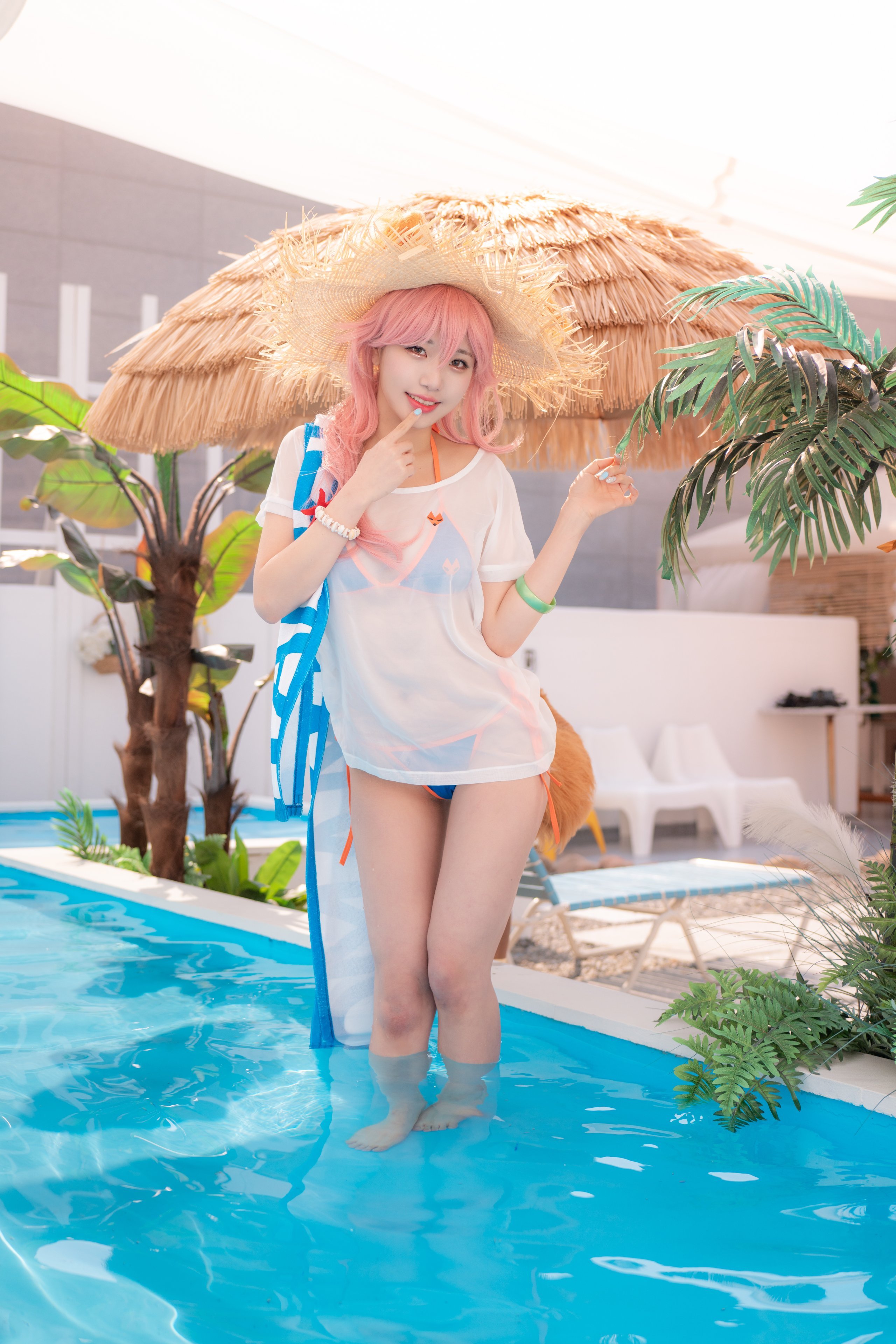 スーフラワー タマモ 夏 (P)