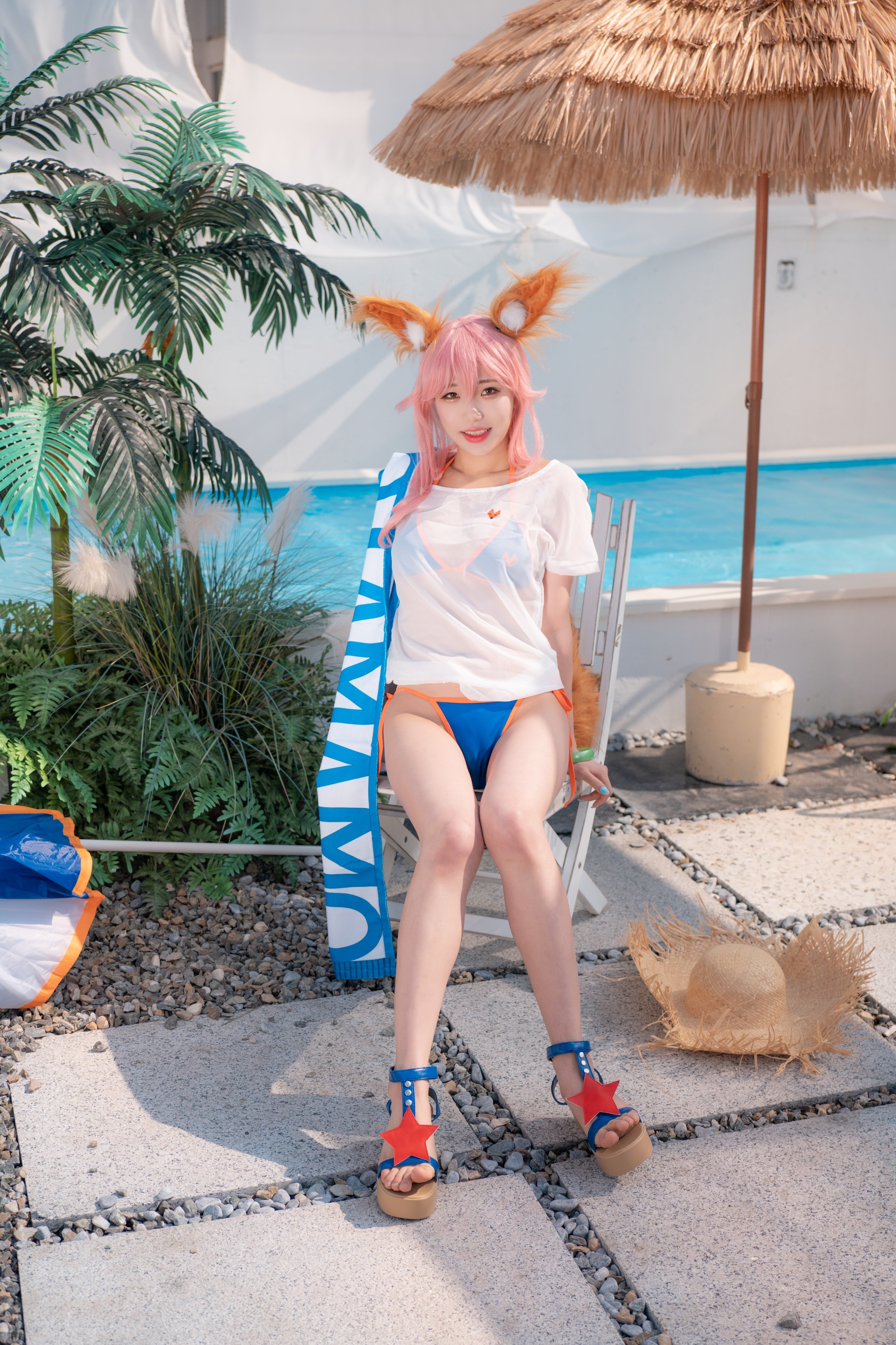 スーフラワー タマモ 夏 (P)