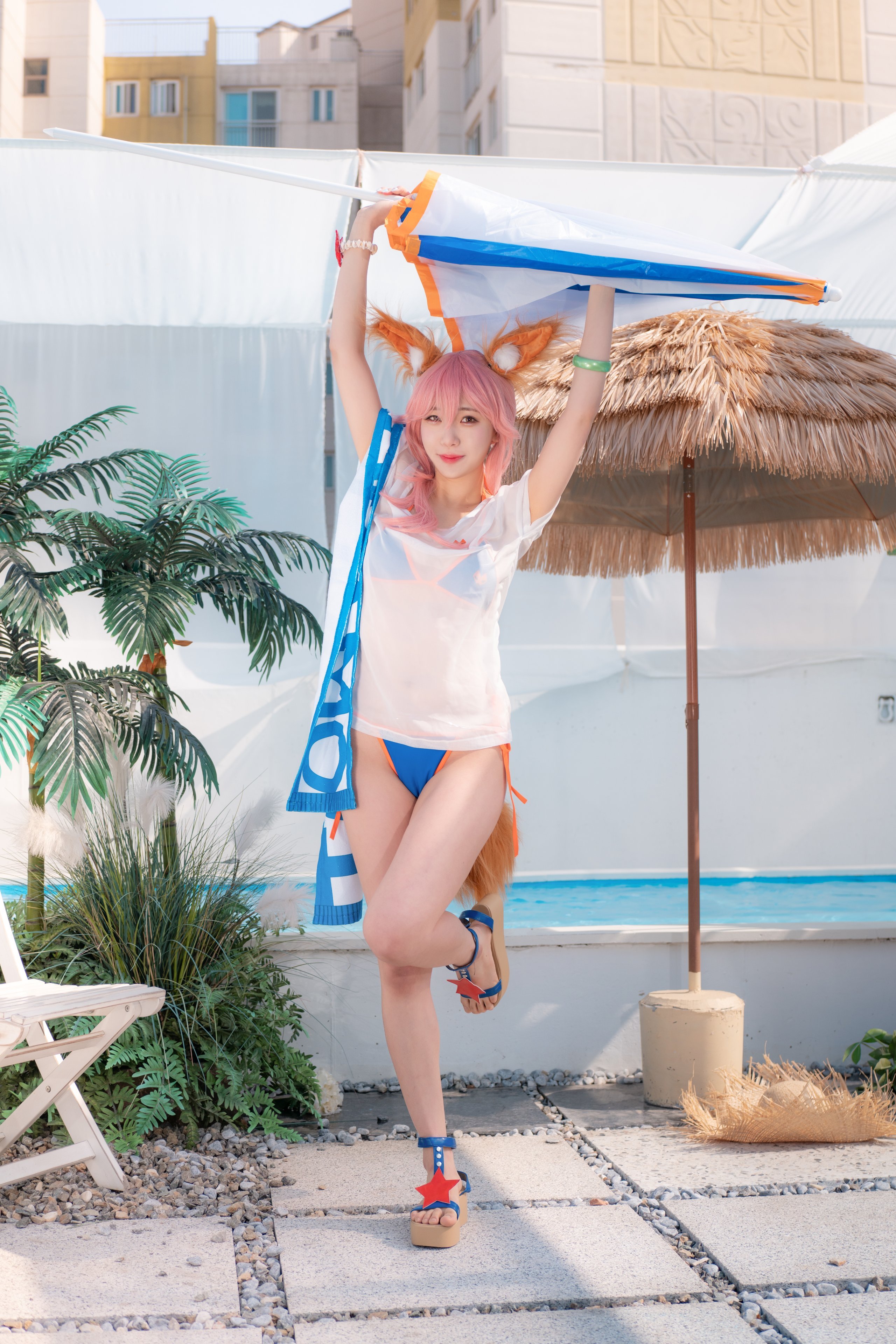 スーフラワー タマモ 夏 (P)