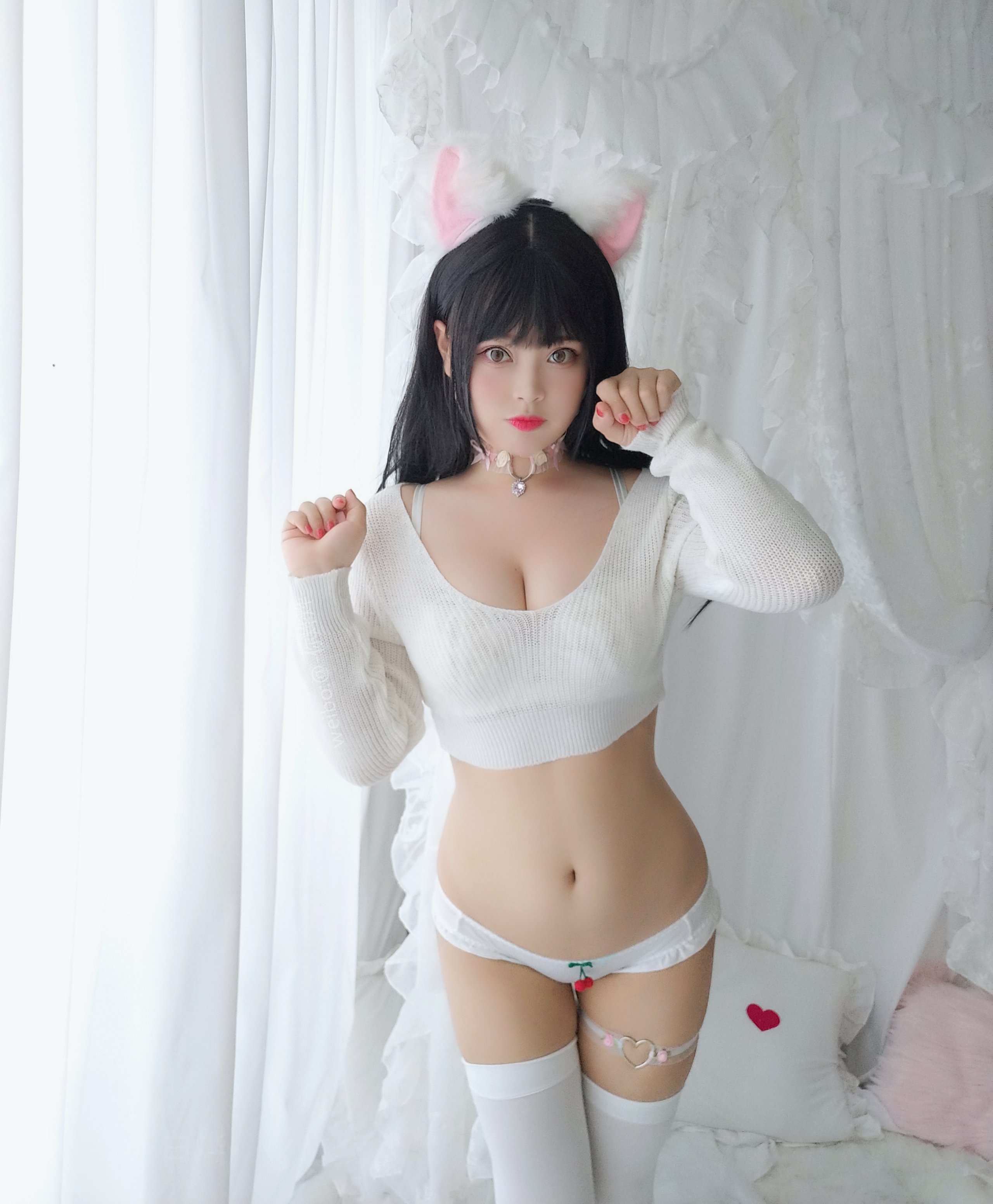 白烨 - - 小さな乳猫