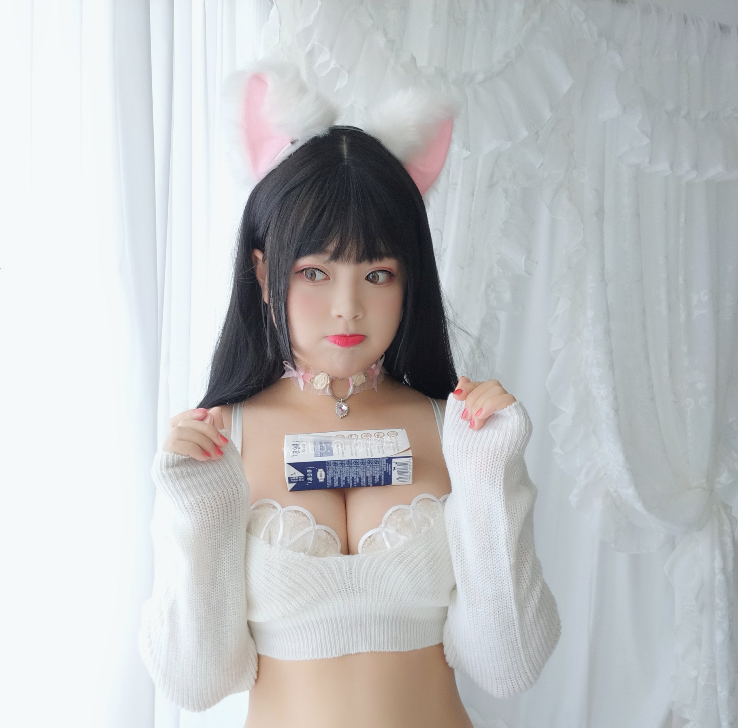 백예 - - 작은 고양이