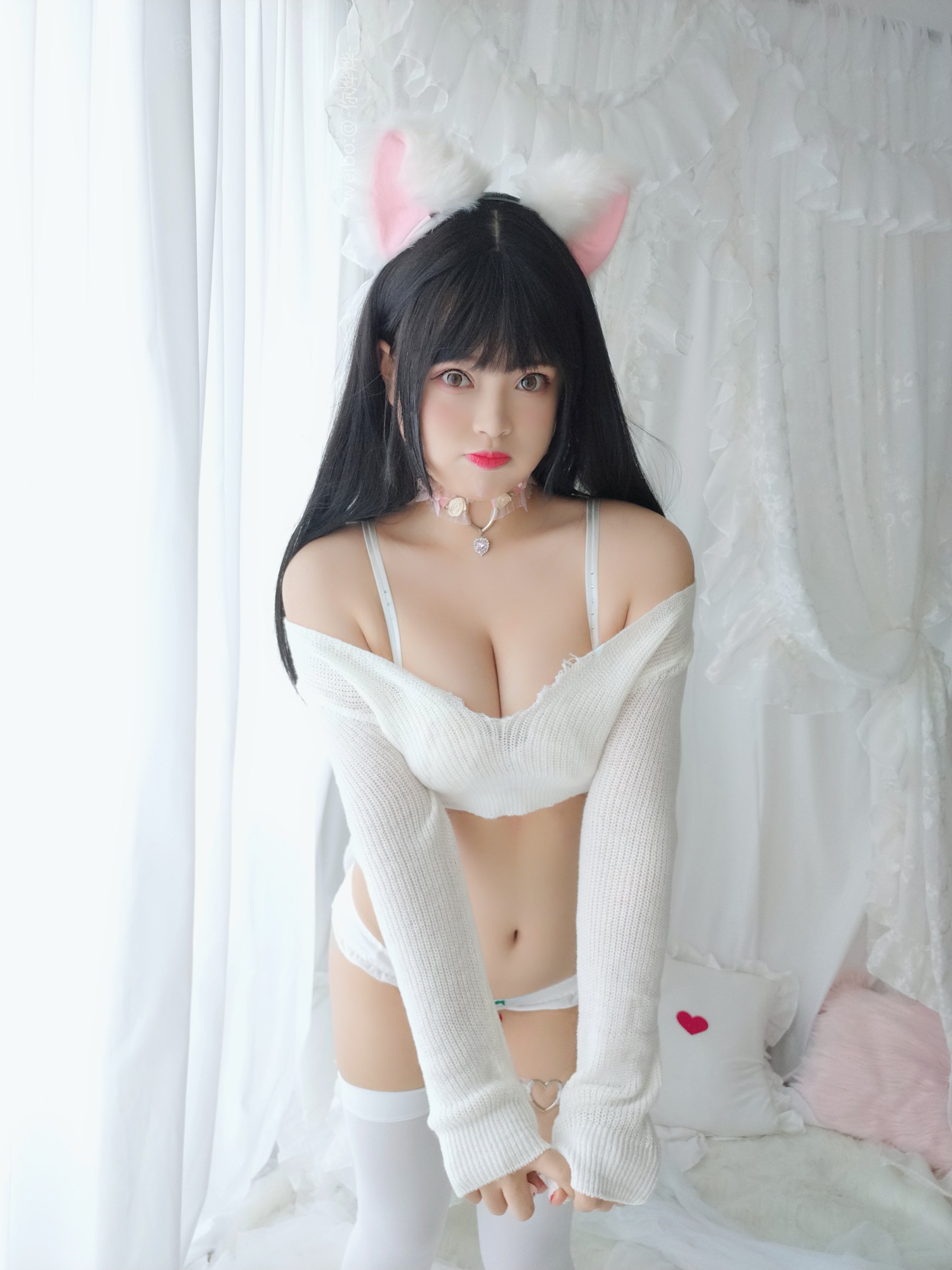 백예 - - 작은 고양이