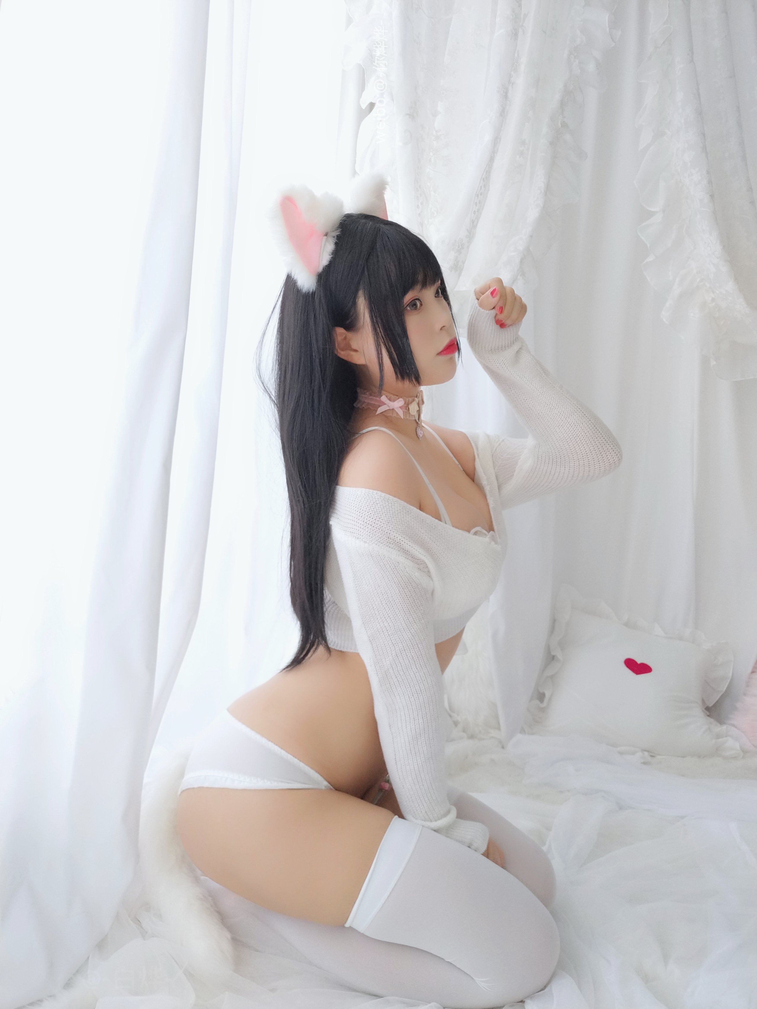 백예 - - 작은 고양이