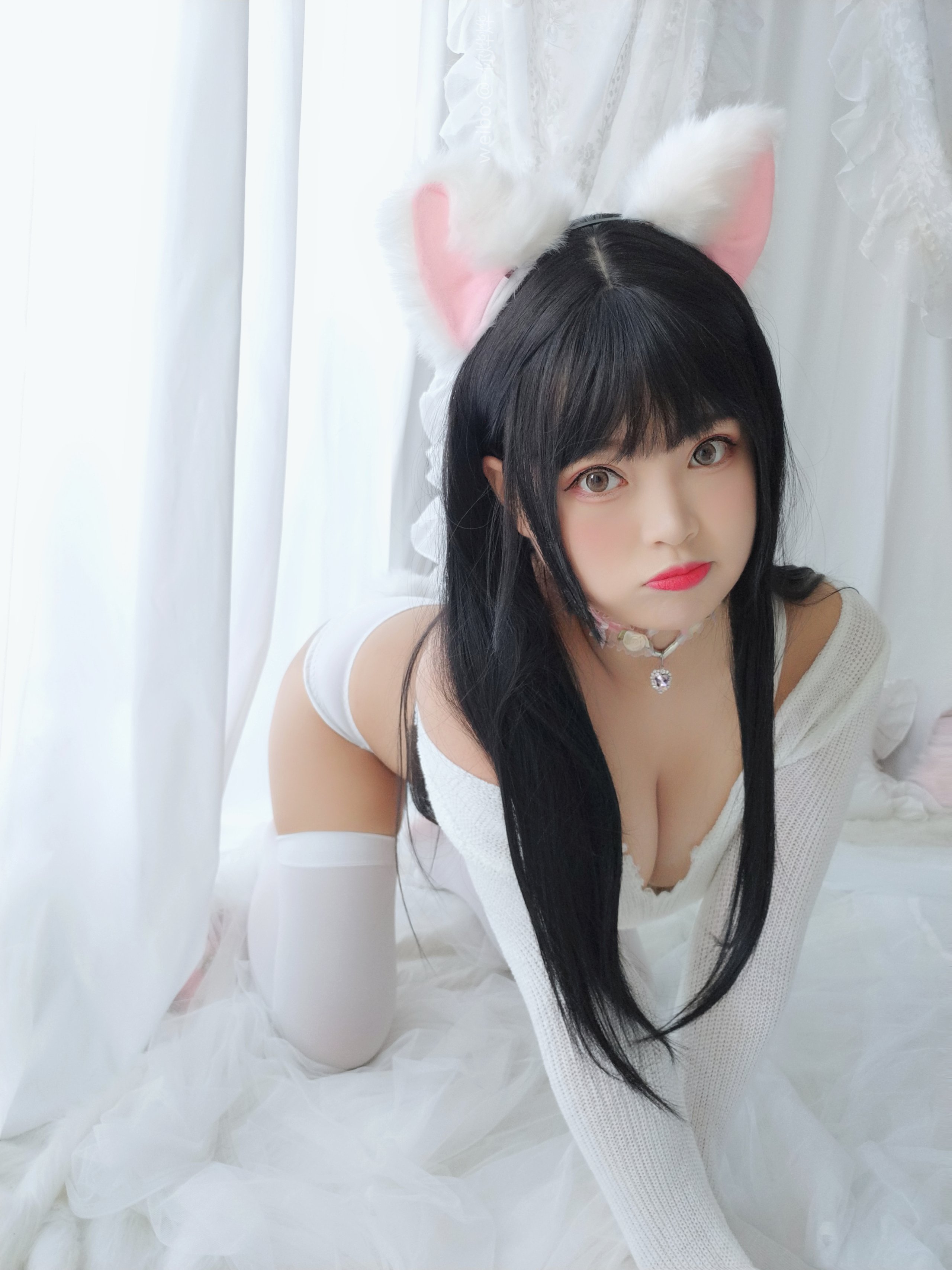 백예 - - 작은 고양이