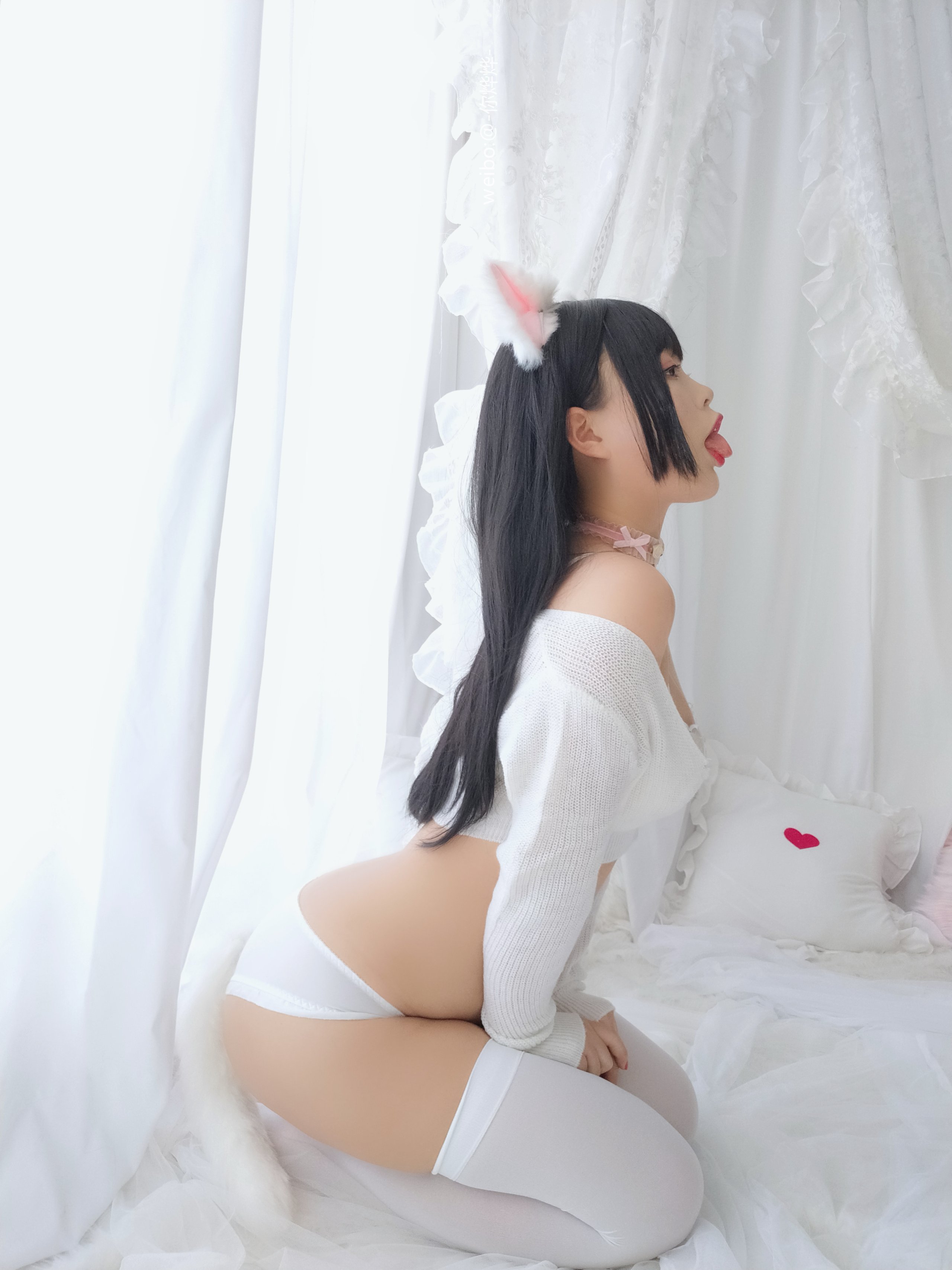 백예 - - 작은 고양이
