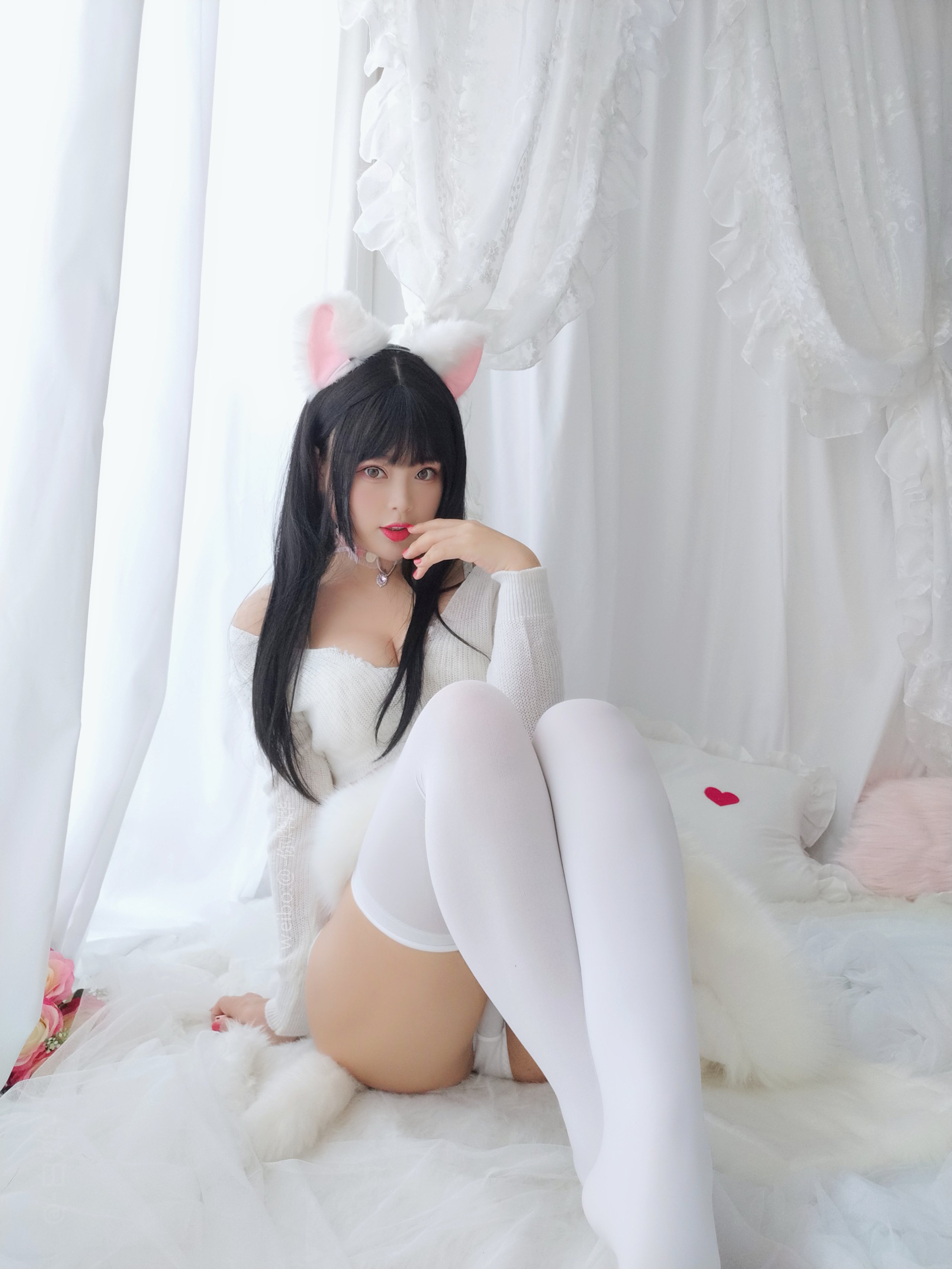 白烨- - 小奶猫