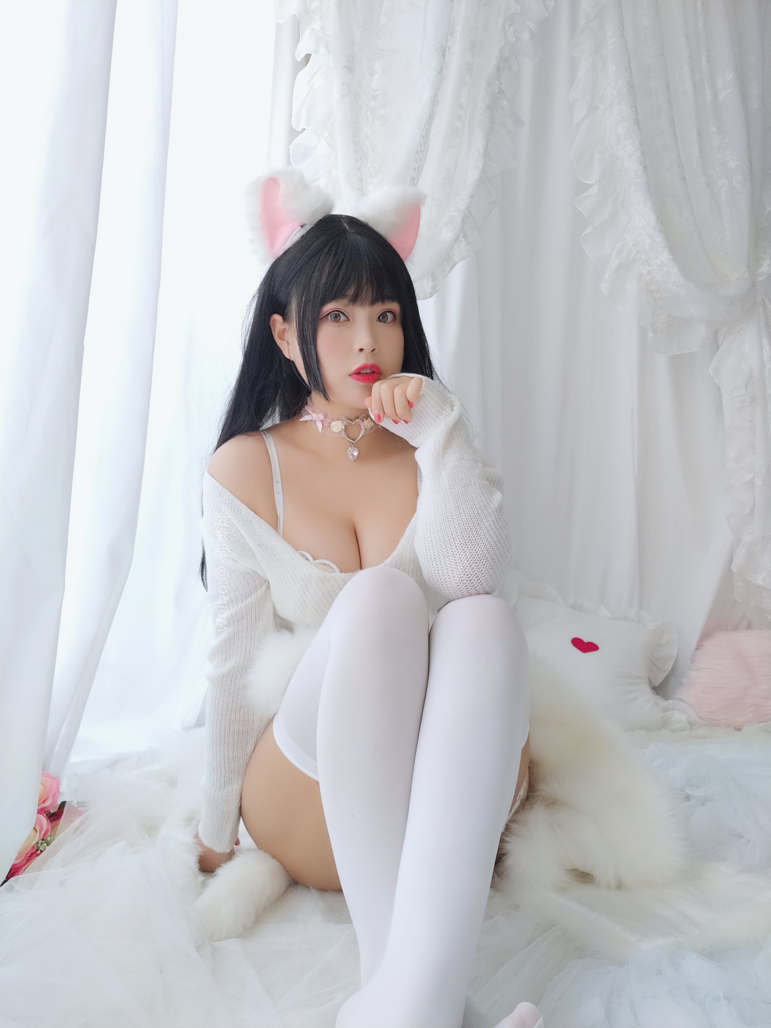 白烨- - 小奶猫