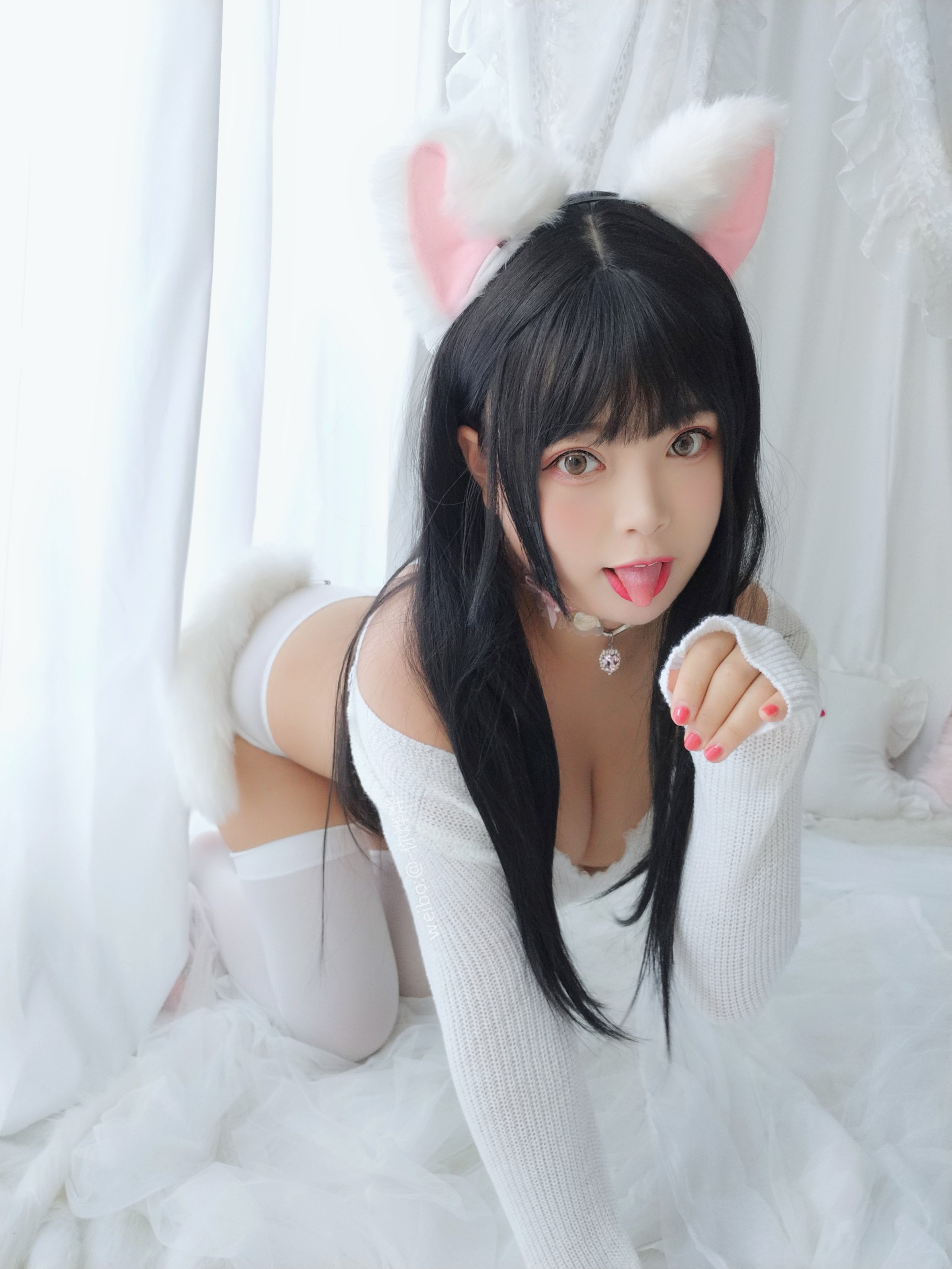 白烨- - 小奶猫