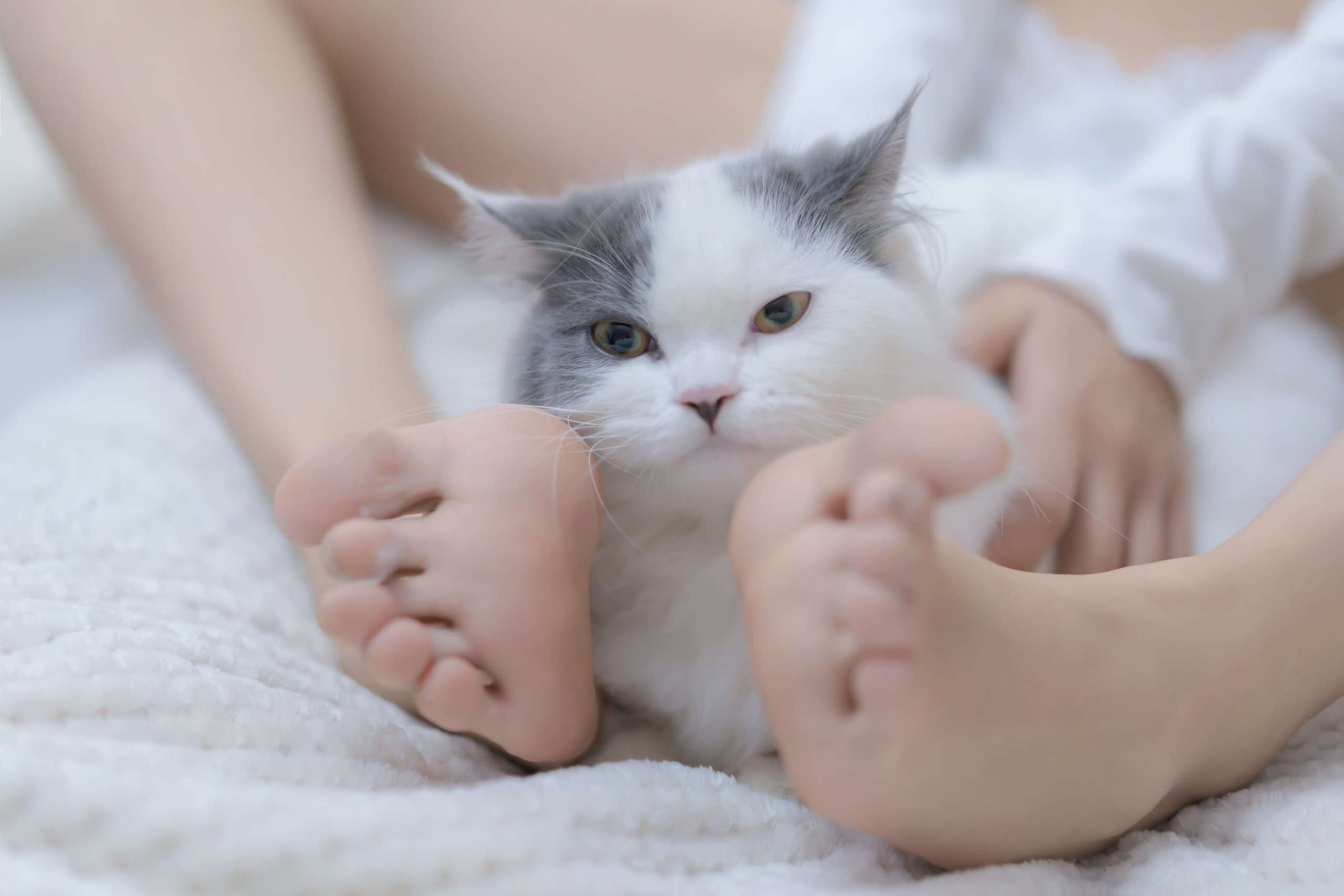 [过期米线线喵] 我和猫写真套图