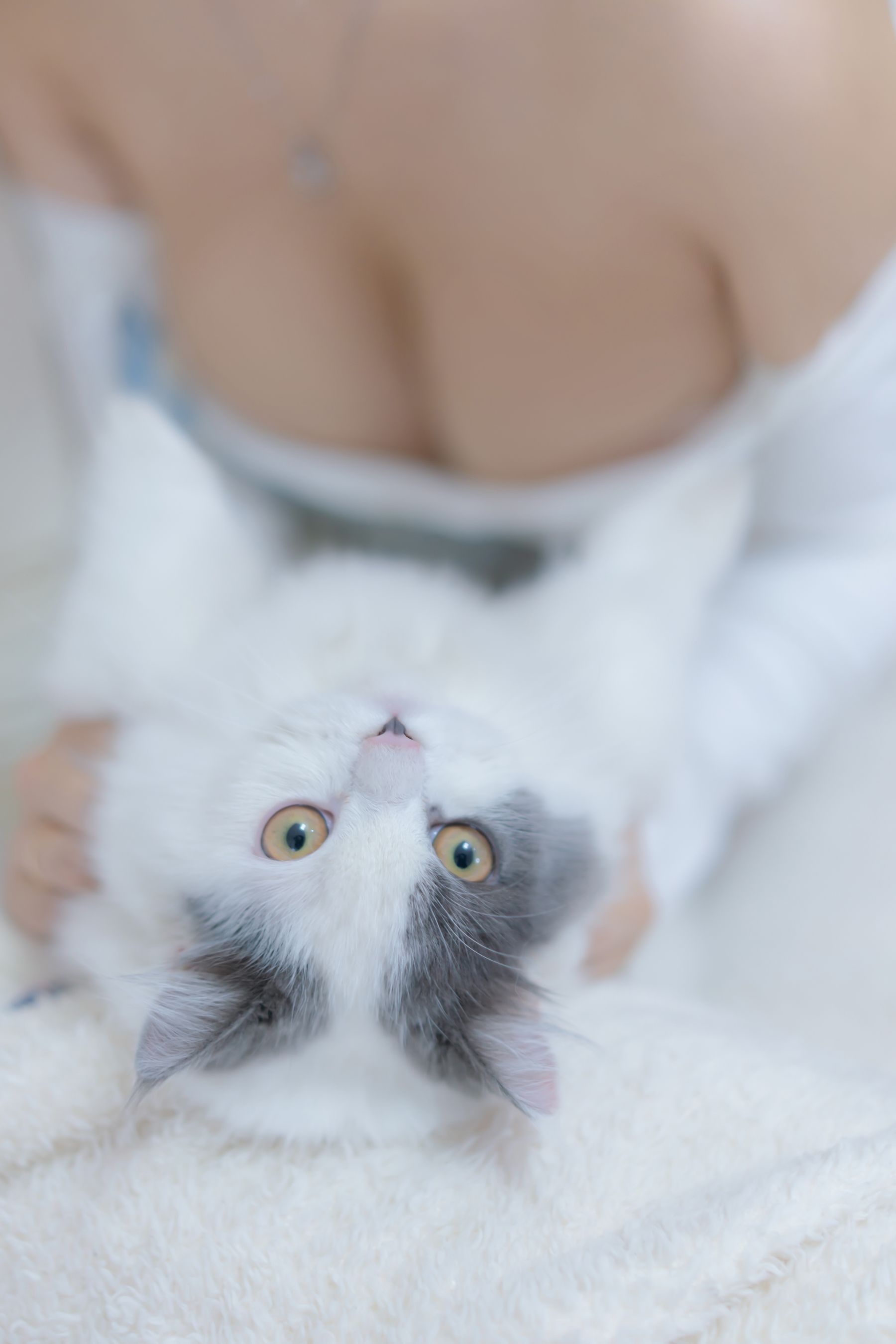 [过期米线线喵] 我和猫写真套图