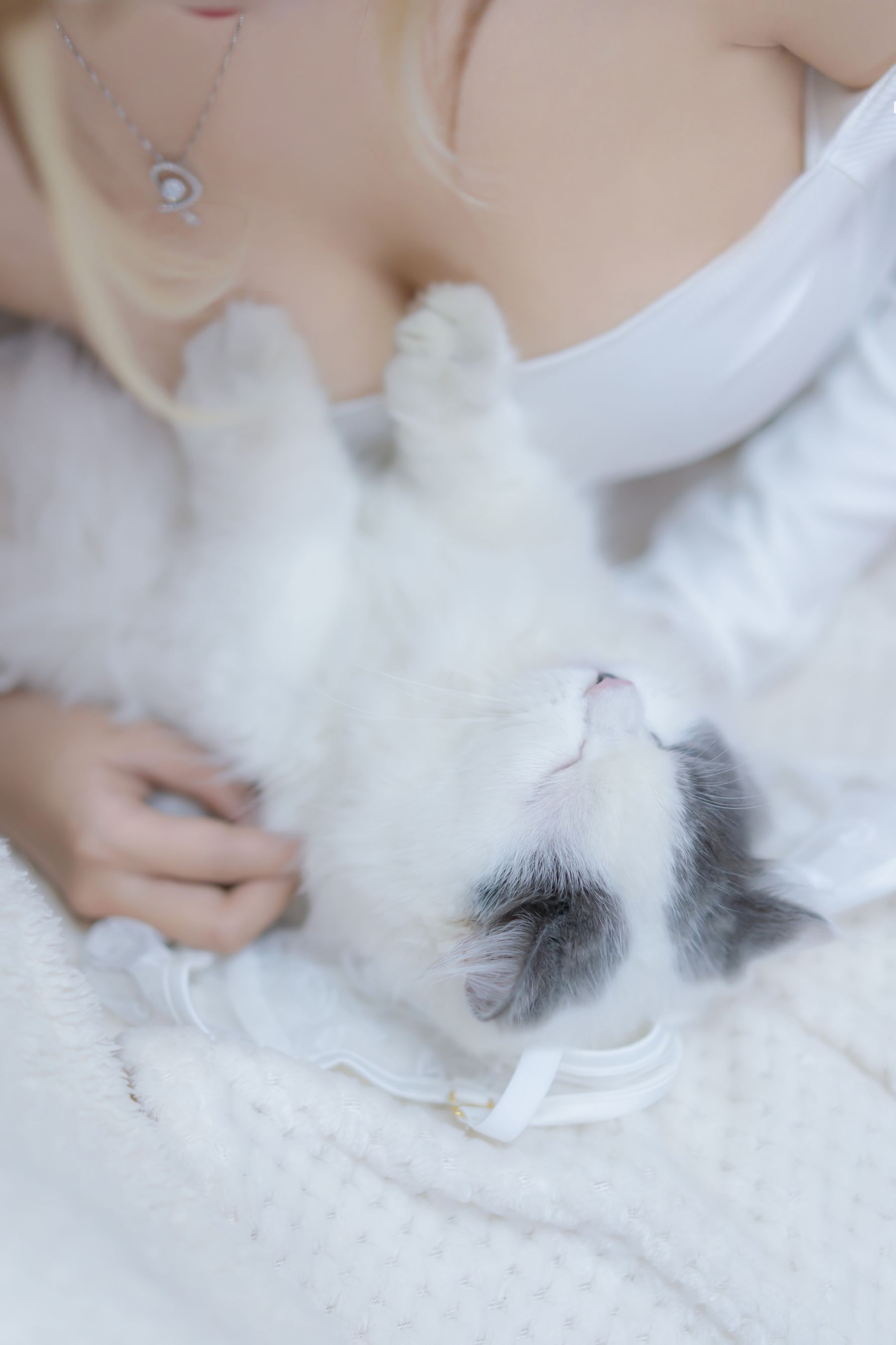 [过期米线线喵] 我和猫写真套图