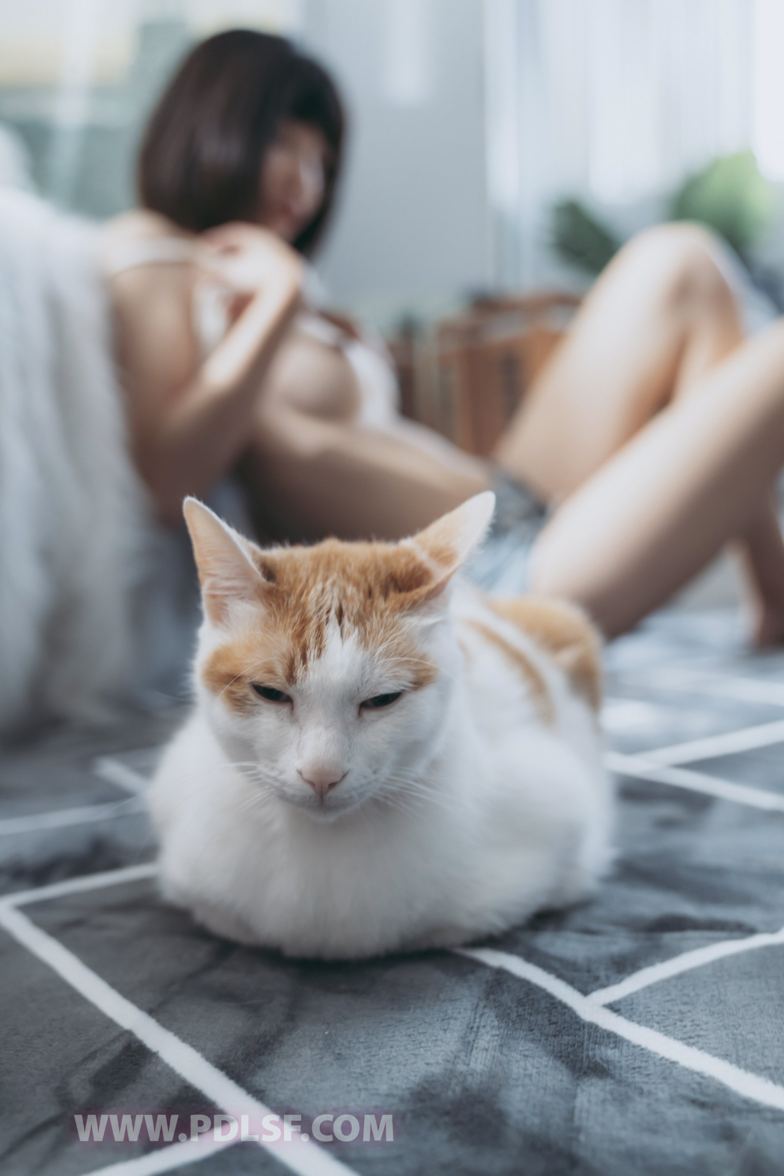 潘多拉白金6429写真